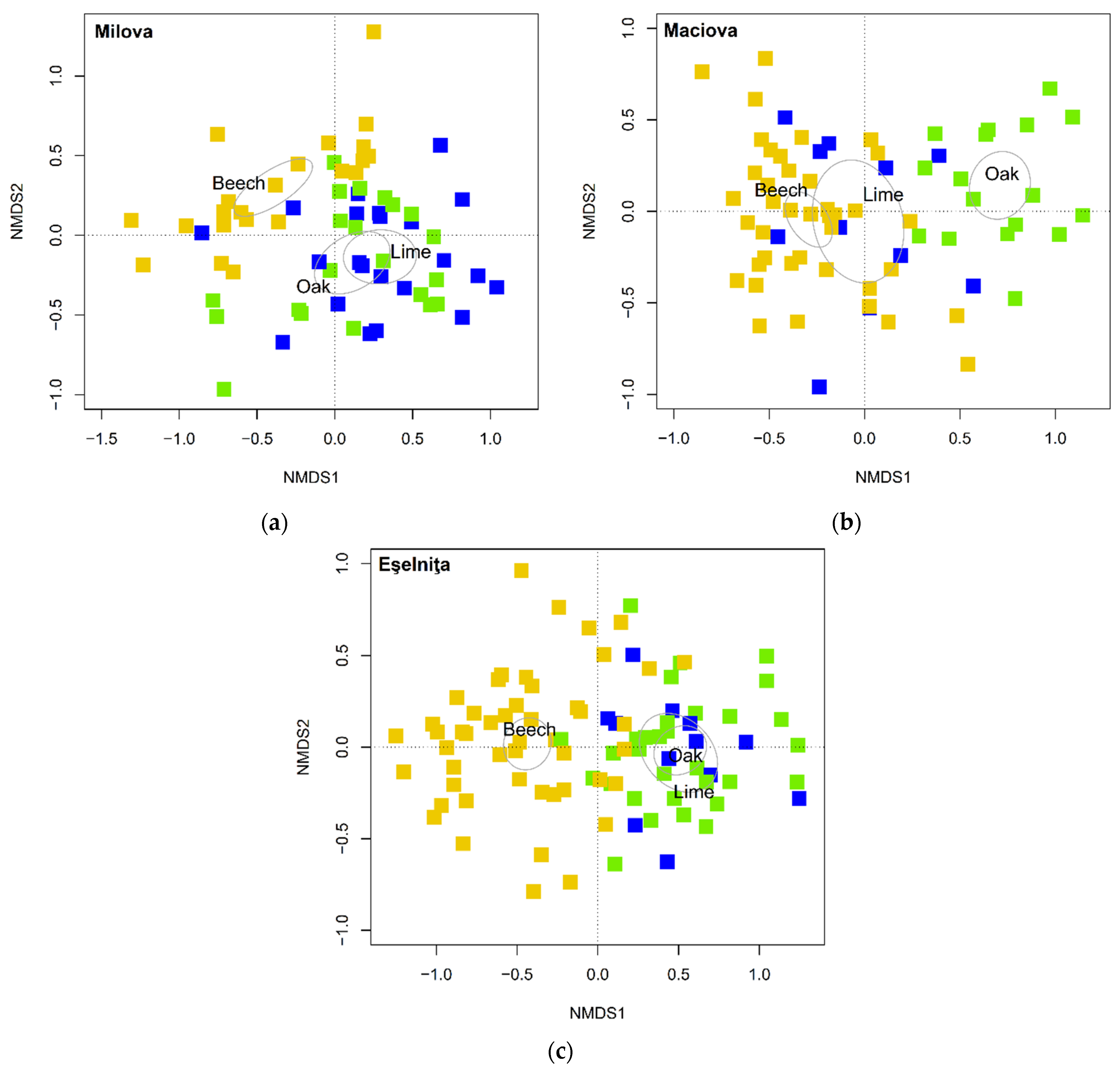 Sustainability 13 07996 g002