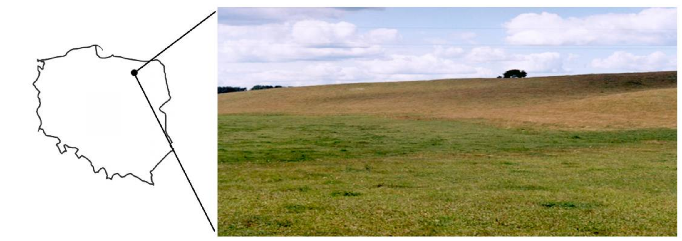 Sustainability 13 08240 g002