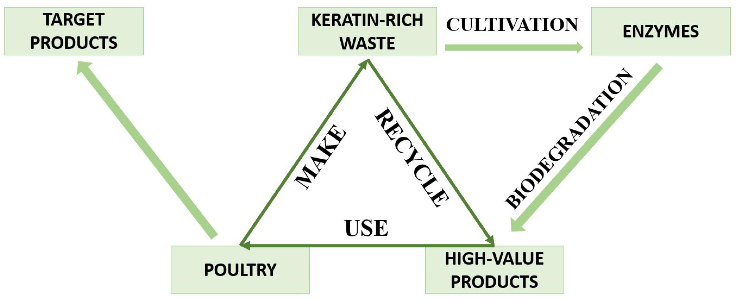 Sustainability 13 08691 g001