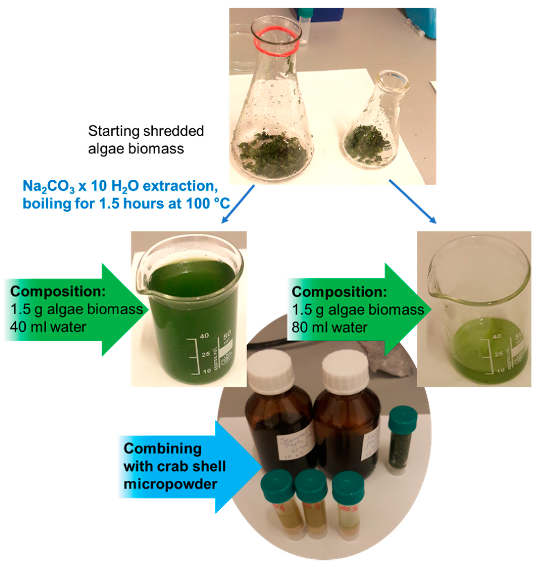 Sustainability Free Full Text A New Biofertilizer Formulation With Enriched Nutrients Content From Wasted Algal Biomass Extracts Incorporated In Biogenic Powders Html