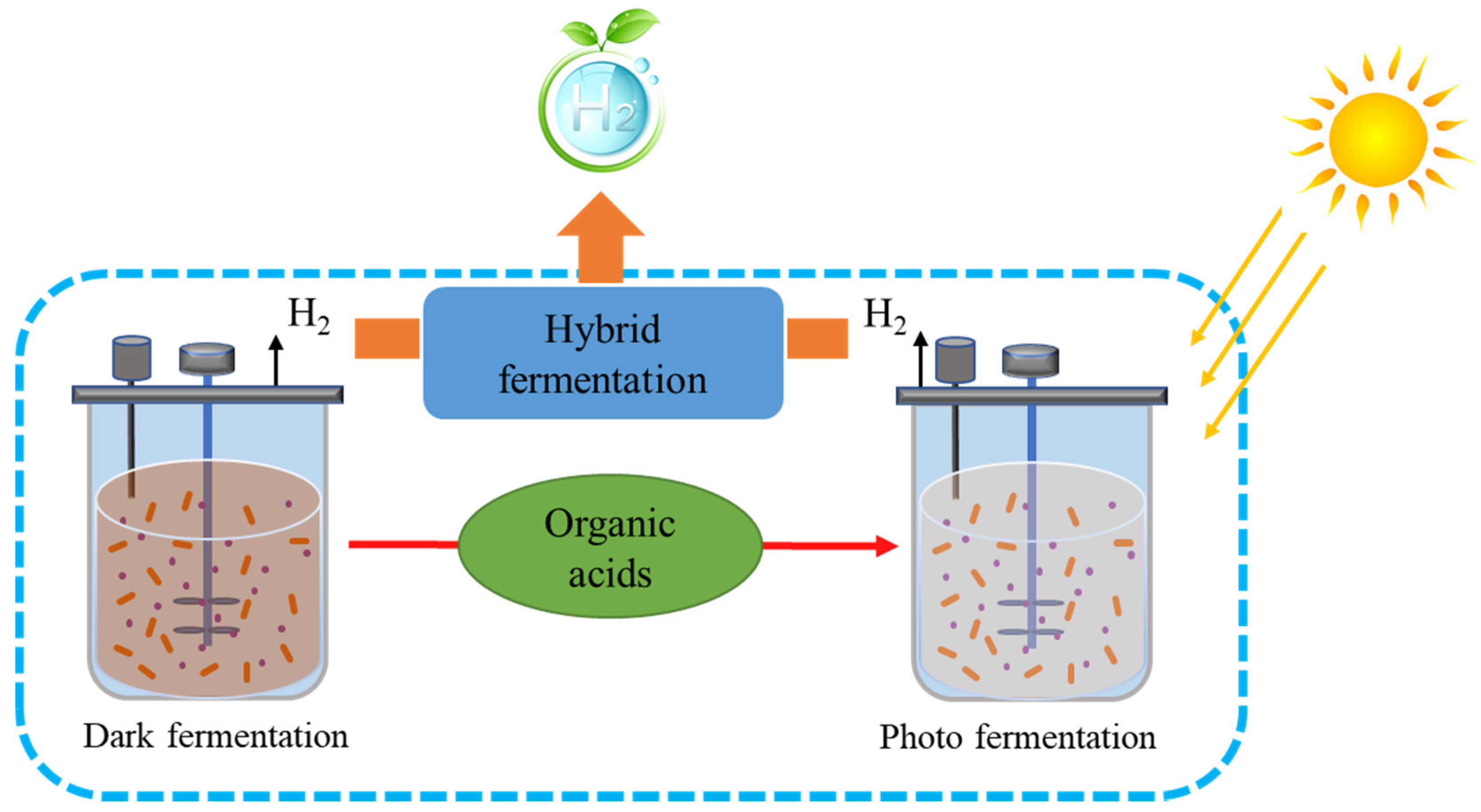 Sustainability 13 08796 g002