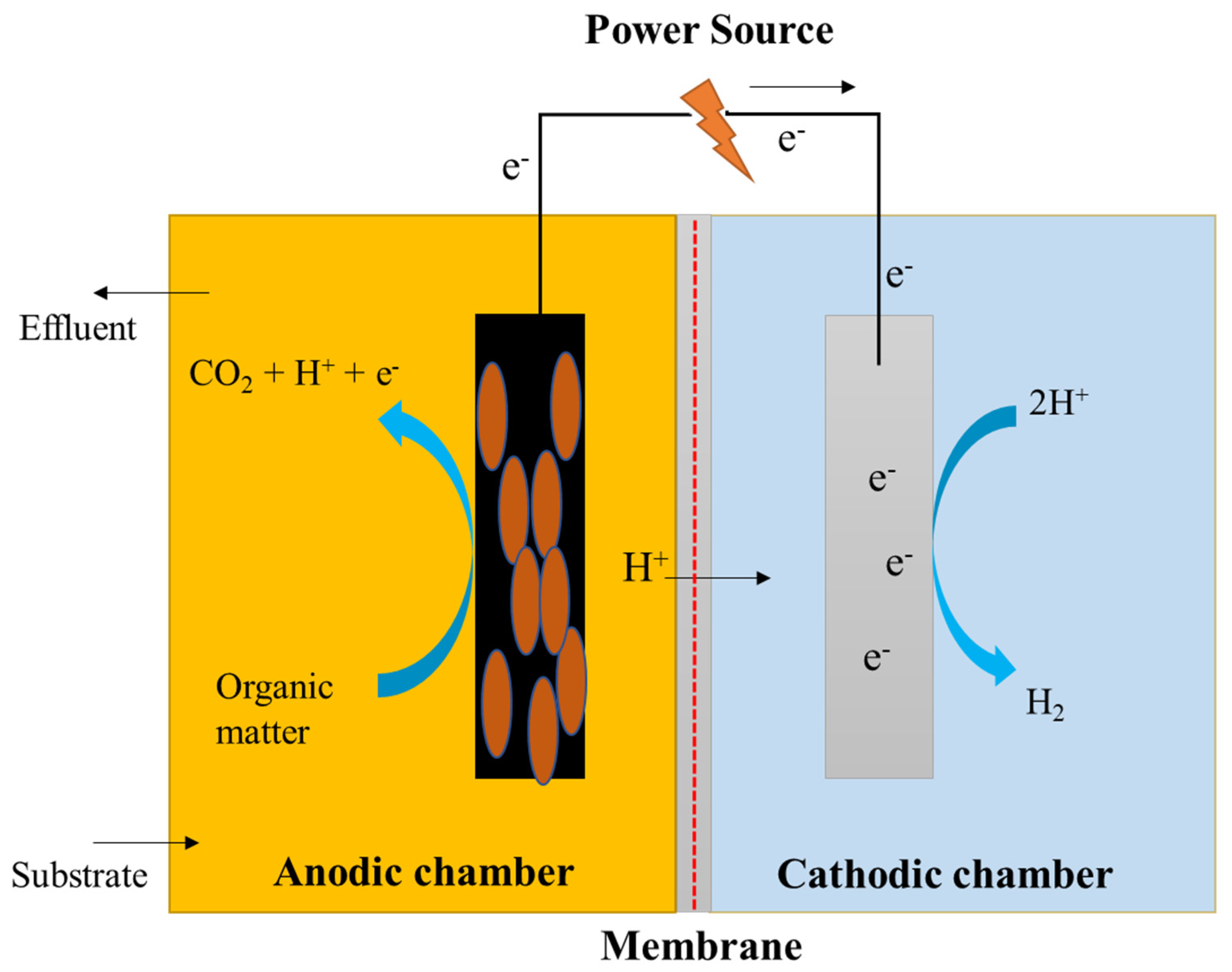 Sustainability 13 08796 g006