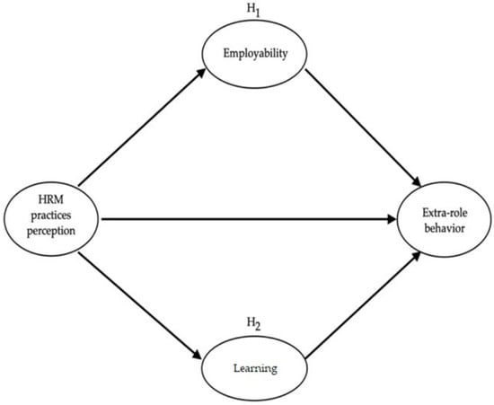 Sustainability | Free Full-Text | Human Resources Management Practices ...