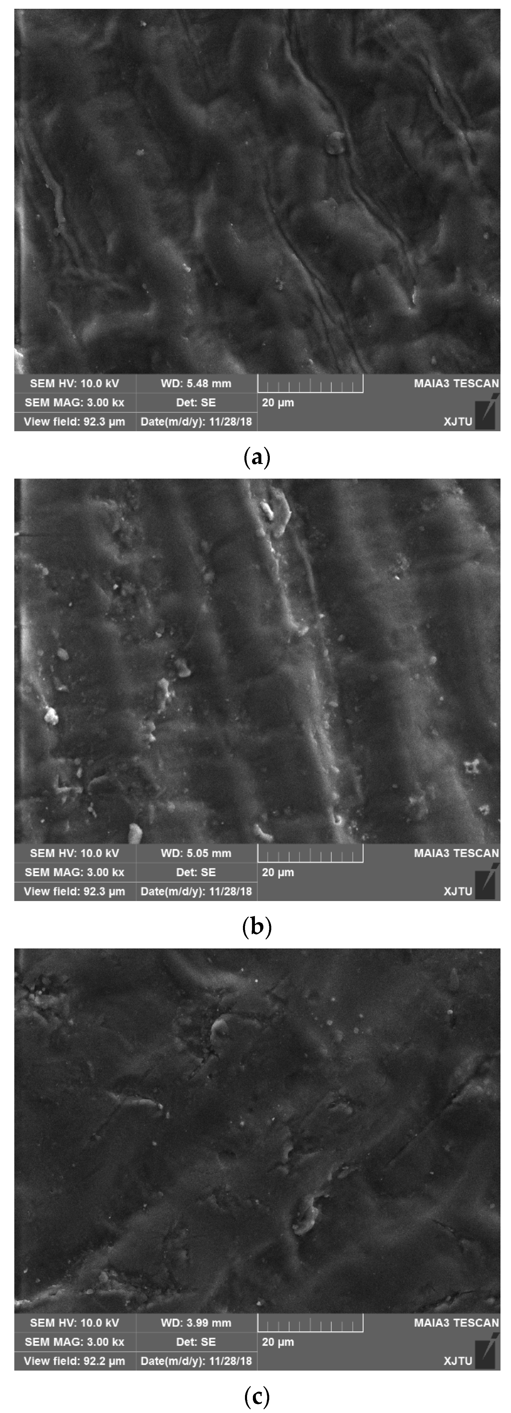 Sustainability 13 08830 g003 Sustainability 13 08830 g003