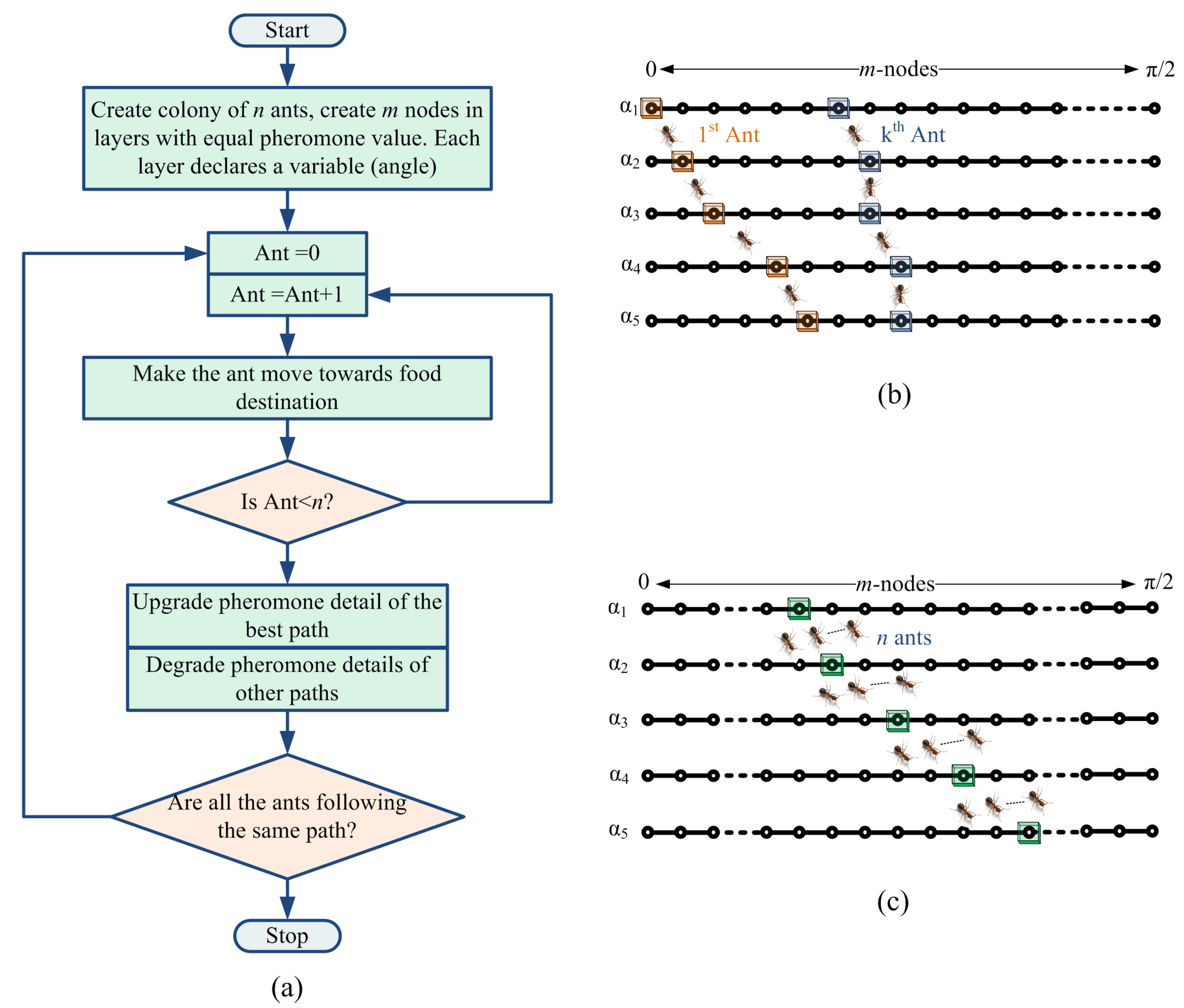 Sustainability 13 09035 g010