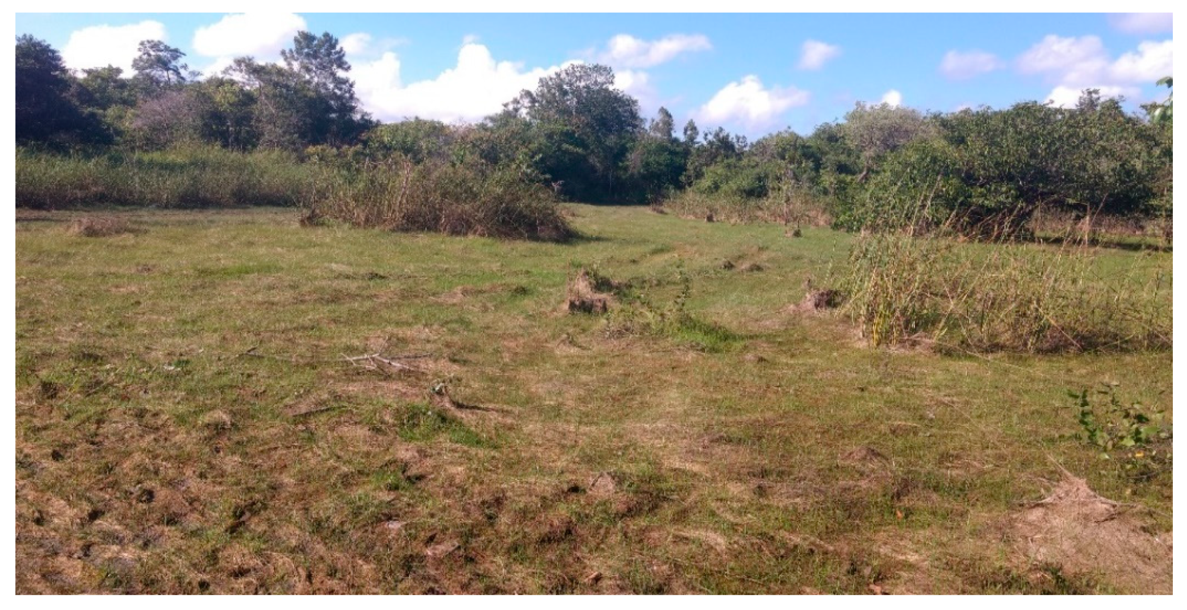 Sustainability 13 09134 g003 Sustainability 13 09134 g003