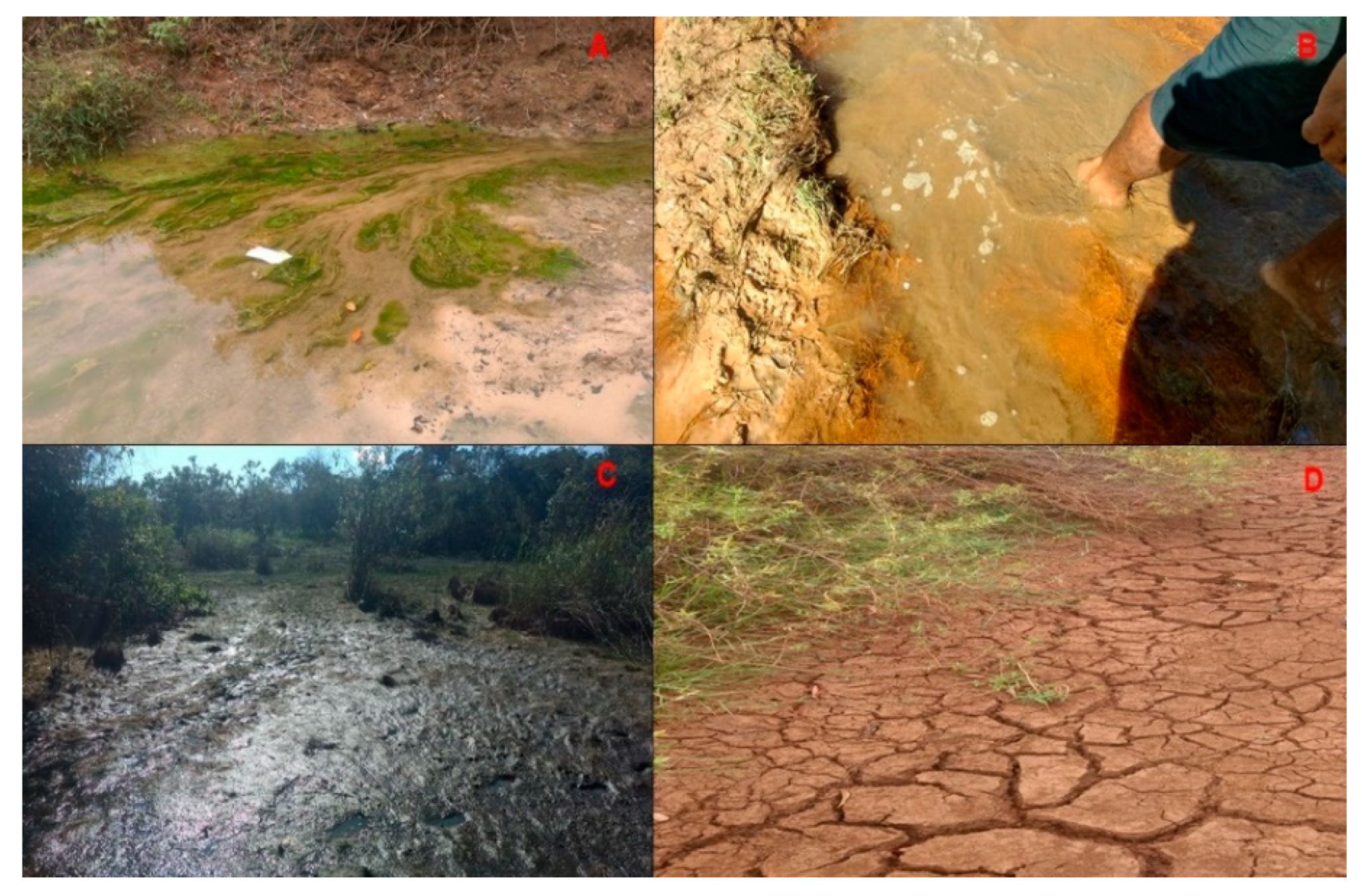 Sustainability 13 09134 g004 Sustainability 13 09134 g004