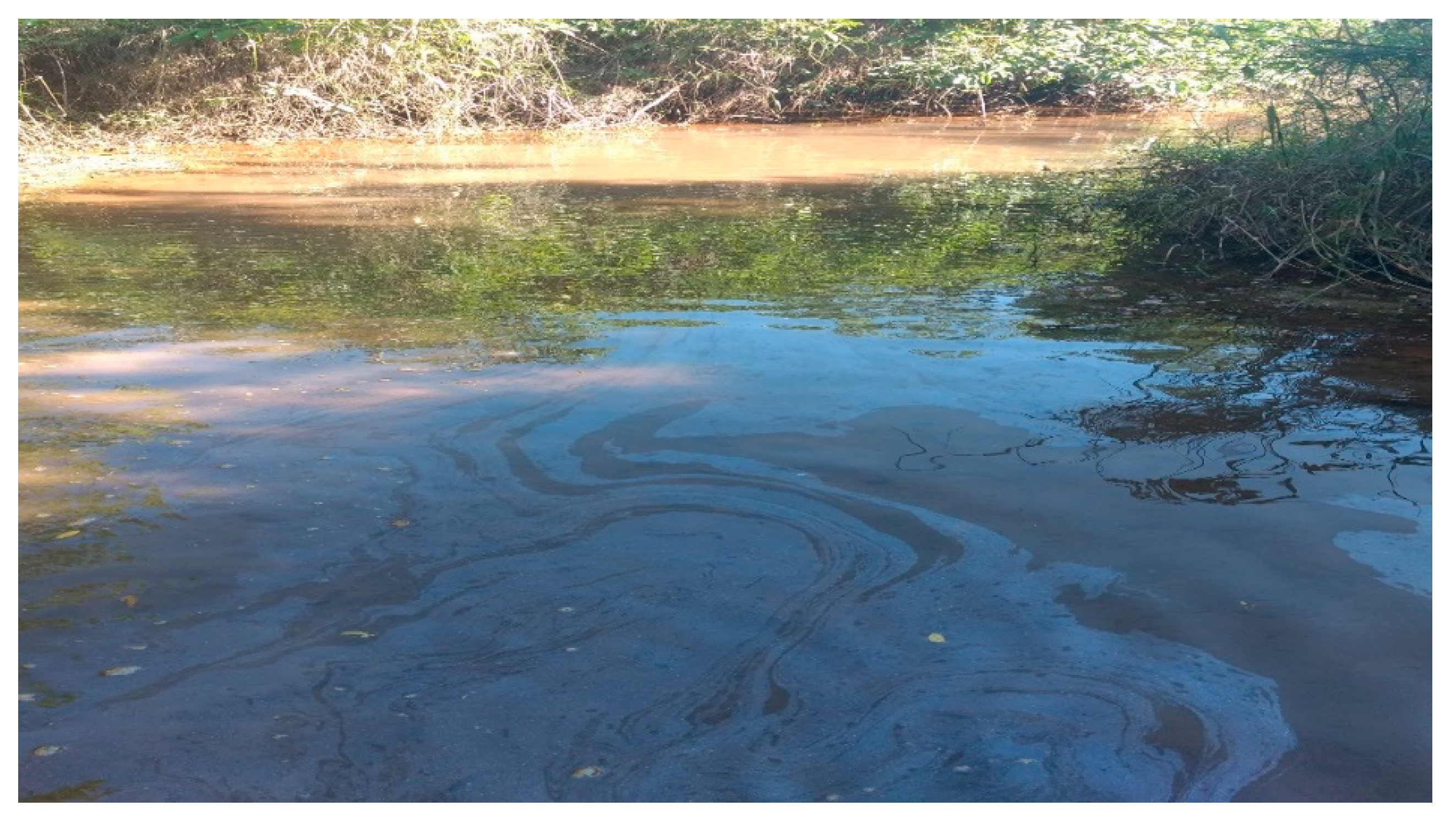 Sustainability 13 09134 g005 Sustainability 13 09134 g005