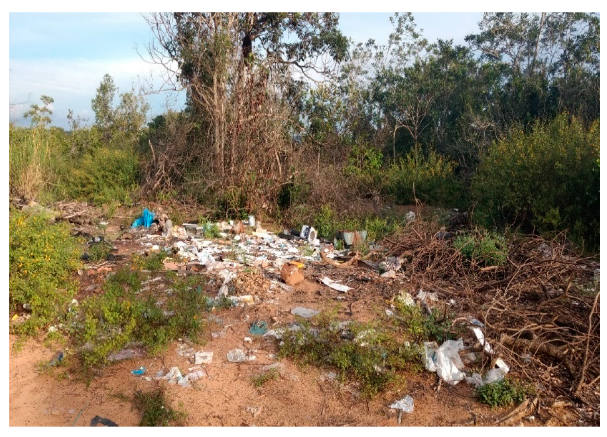 Sustainability 13 09134 g006 Sustainability 13 09134 g006