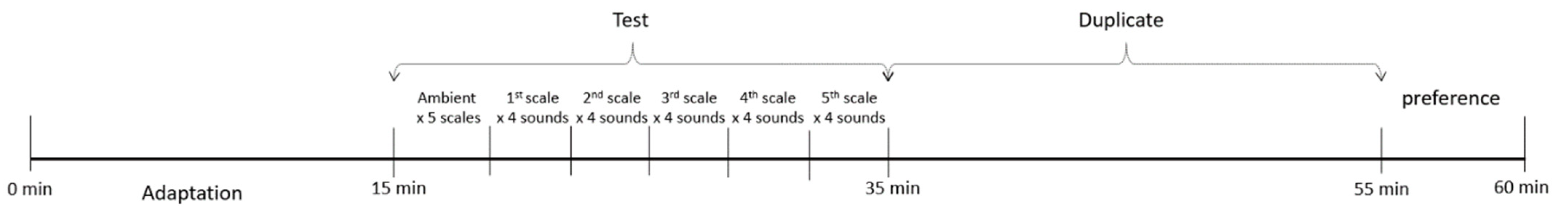Sustainability 13 09207 g003