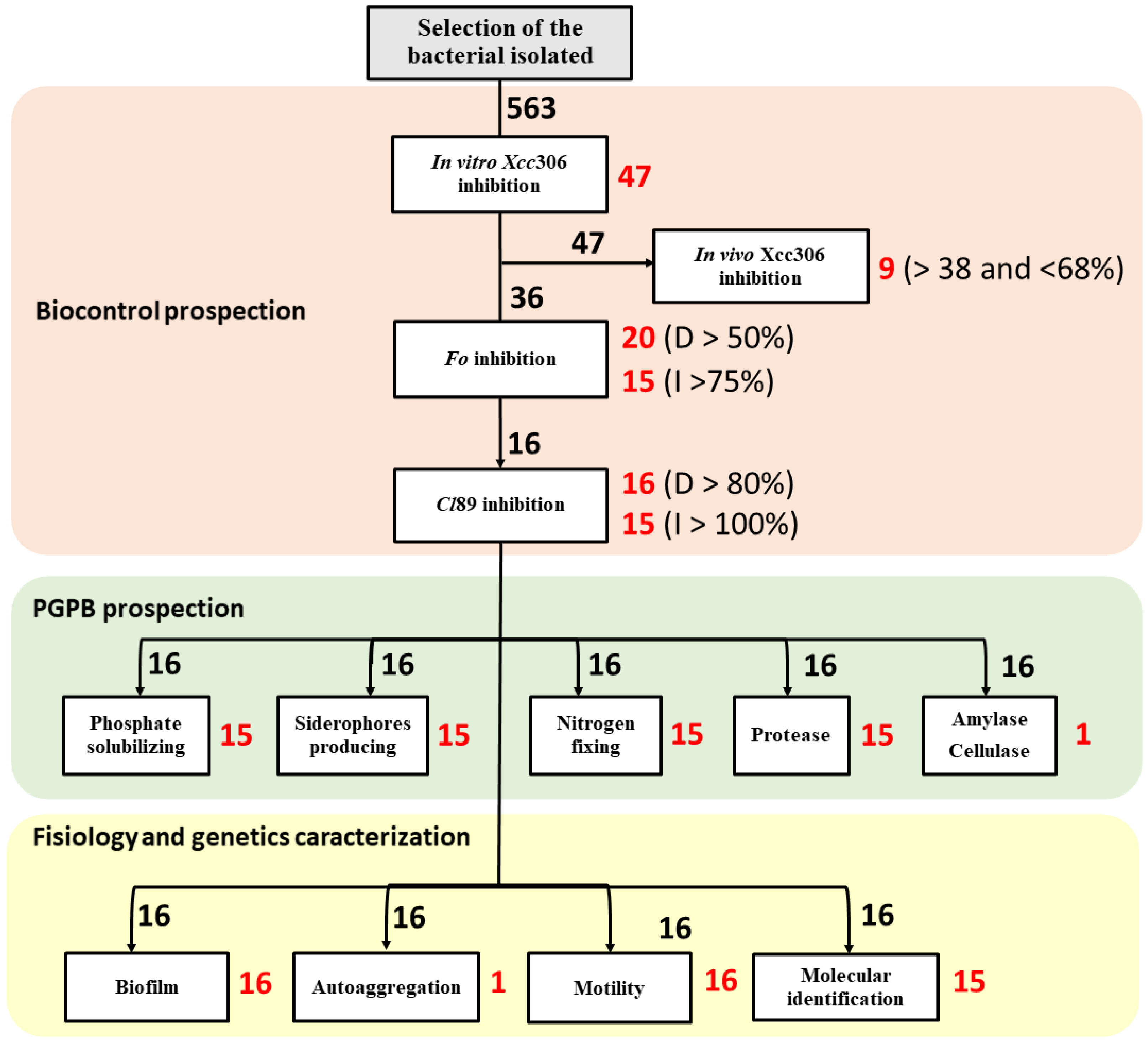 Sustainability 13 09354 g007 Sustainability 13 09354 g007
