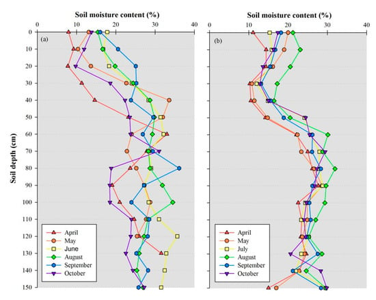 Sustainability | Free Full-Text | Recharge and Infiltration 