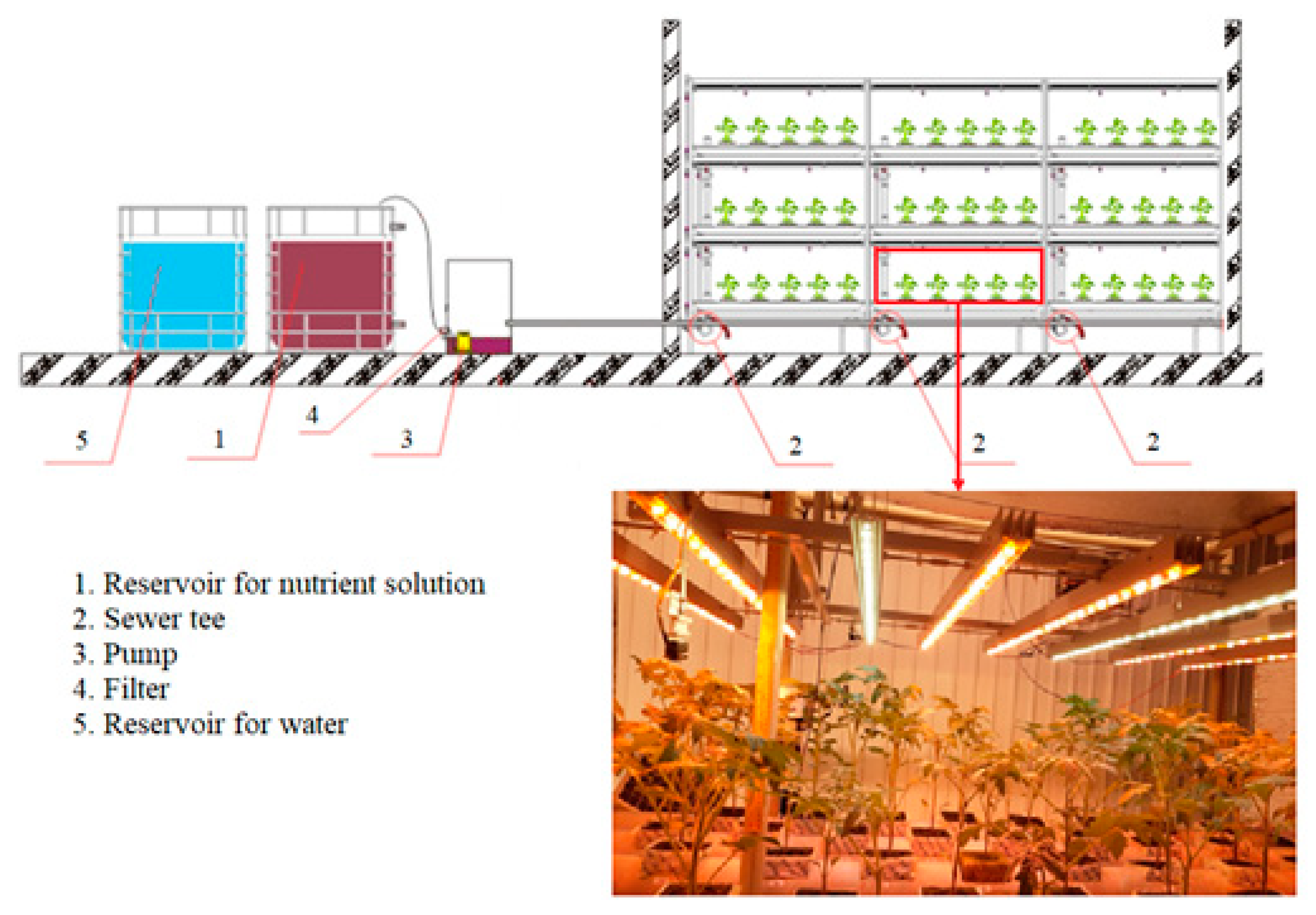 How To Start Seeds In Rockwool Cubes For Hydroponics - Bright Lane