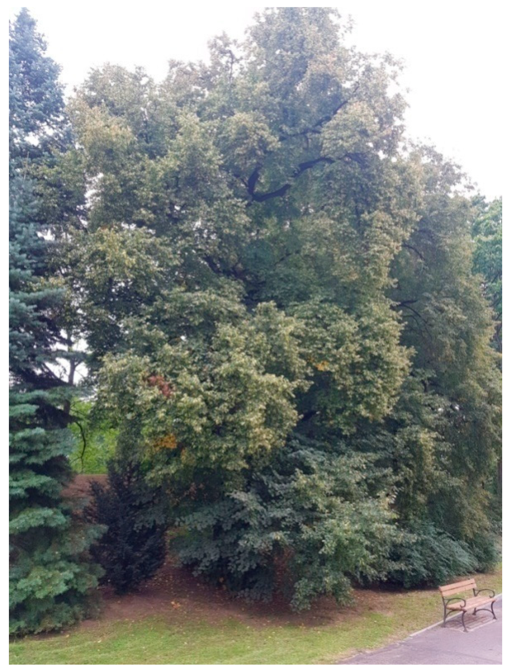 Sustainability 13 09451 g008 Sustainability 13 09451 g008