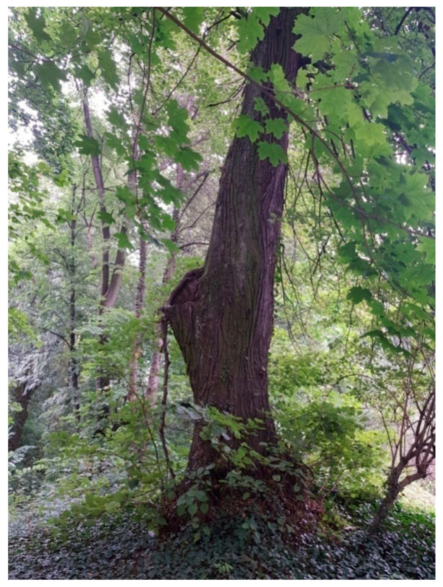 Sustainability 13 09451 g010 Sustainability 13 09451 g010