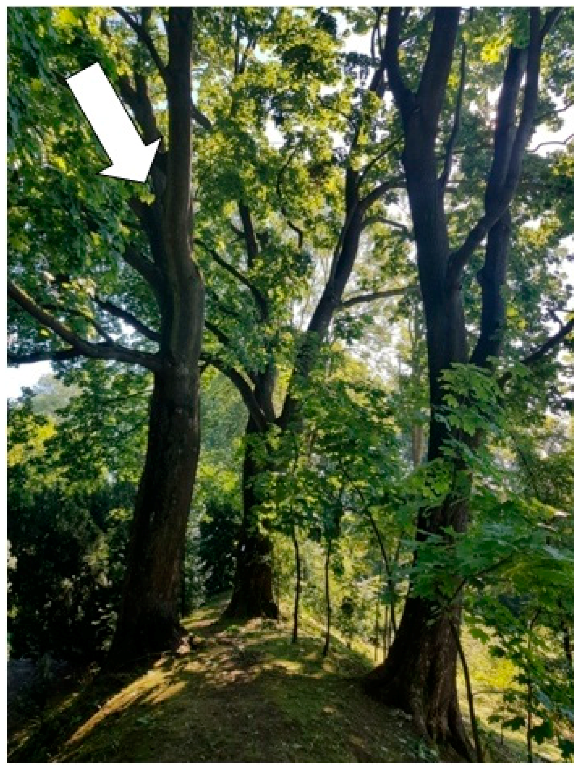 Sustainability 13 09451 g012 Sustainability 13 09451 g012