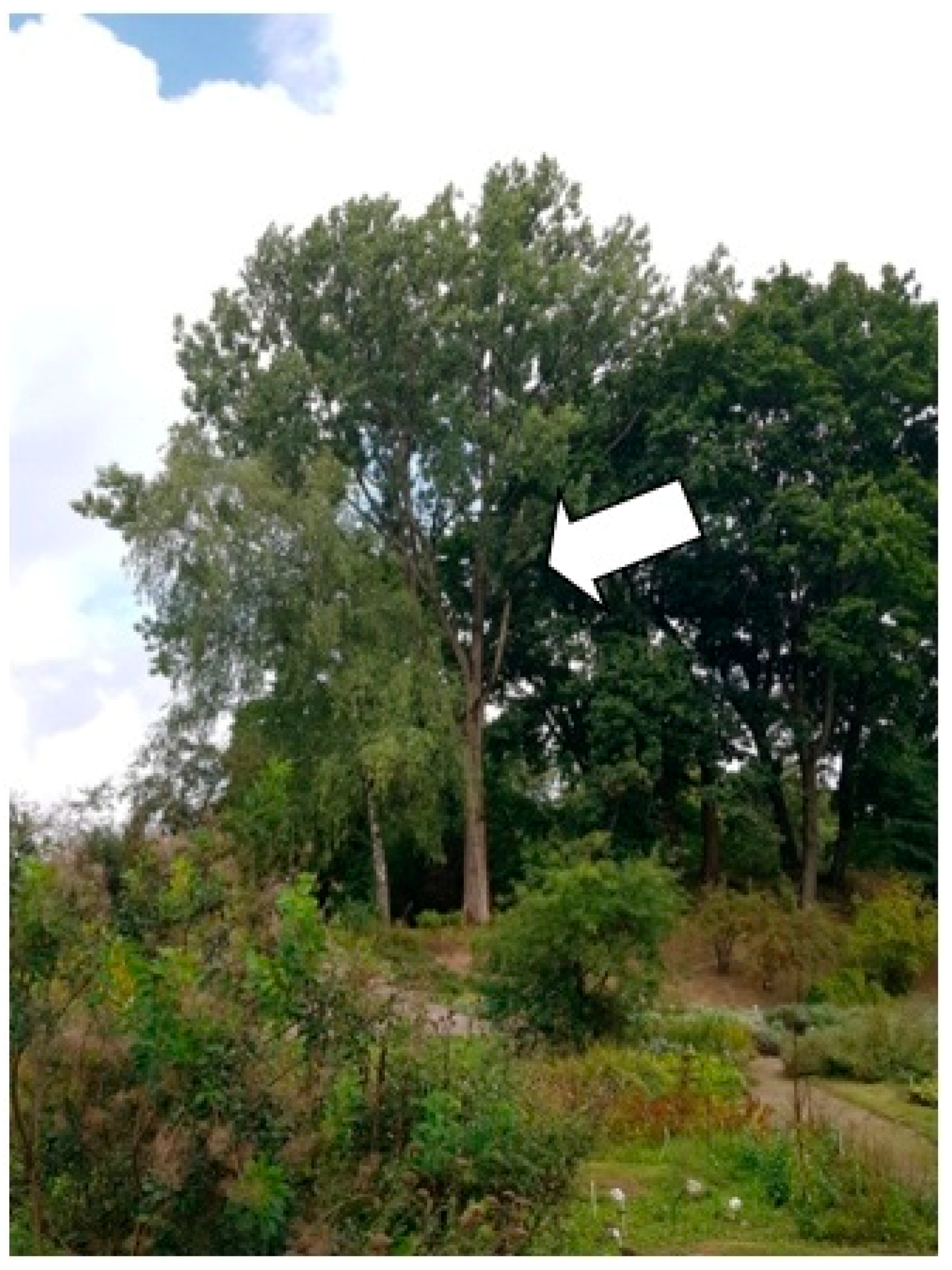 Sustainability 13 09451 g016 Sustainability 13 09451 g016