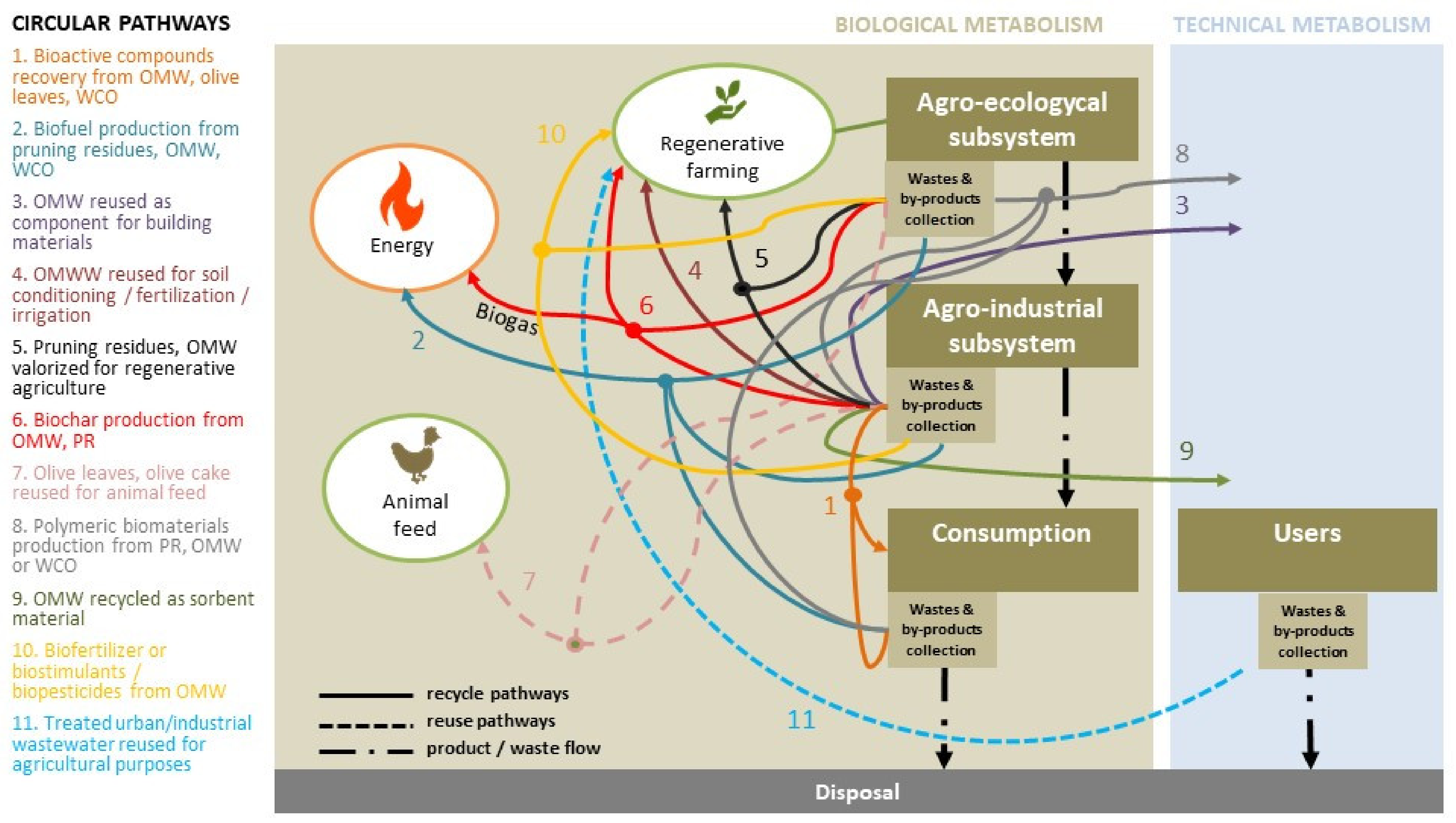 Sustainability | Free Full-Text | Available Pathways for Operationalizing  Circular Economy into the Olive Oil Supply Chain: Mapping Evidence from a  Scoping Literature Review | HTML