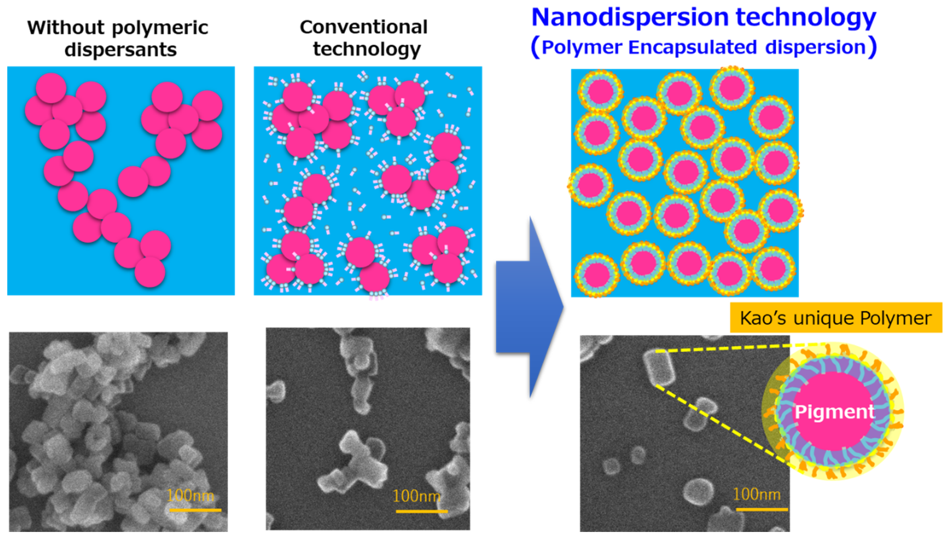 Sustainability 13 09851 g002