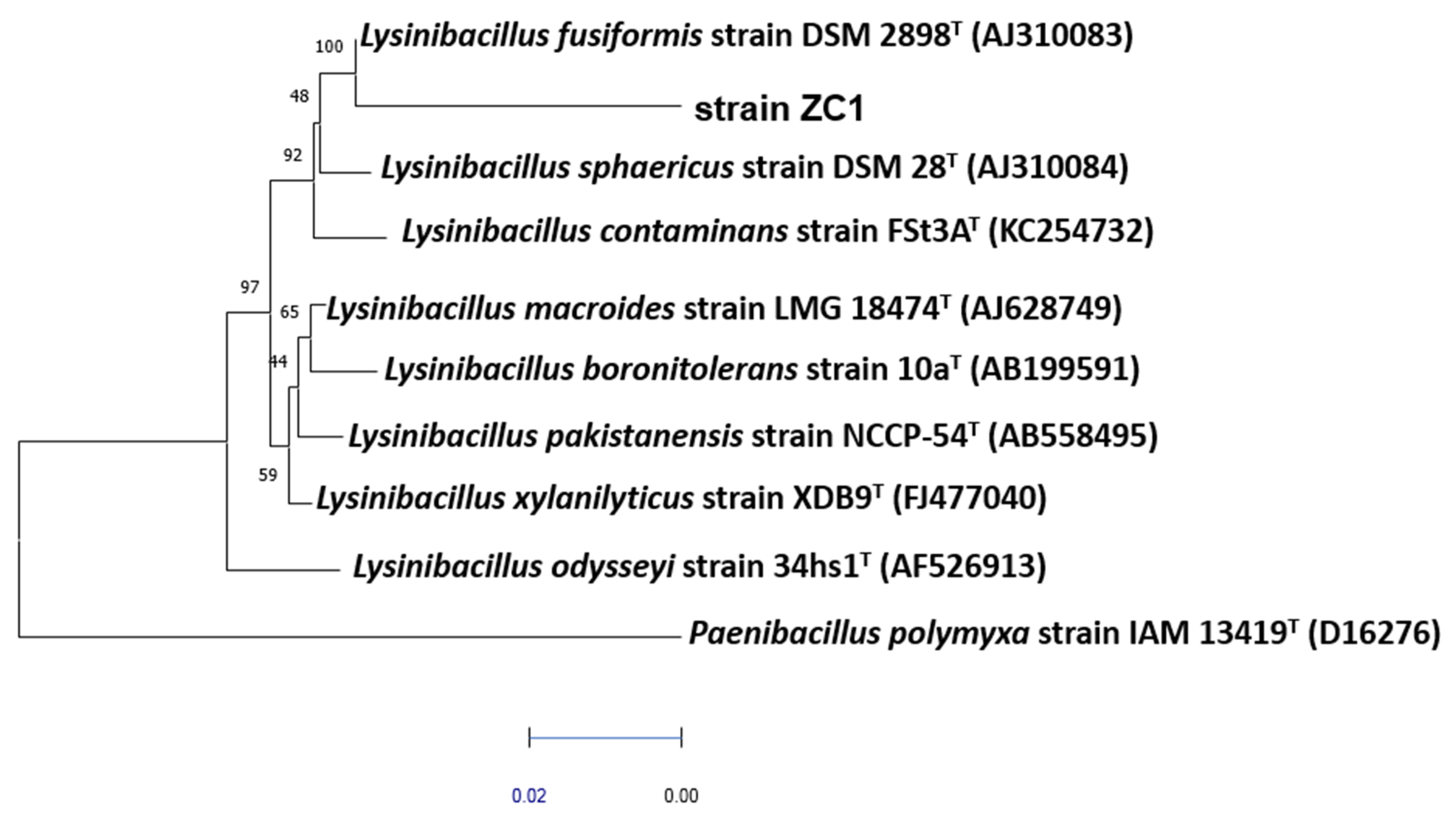 Sustainability 13 10072 g001