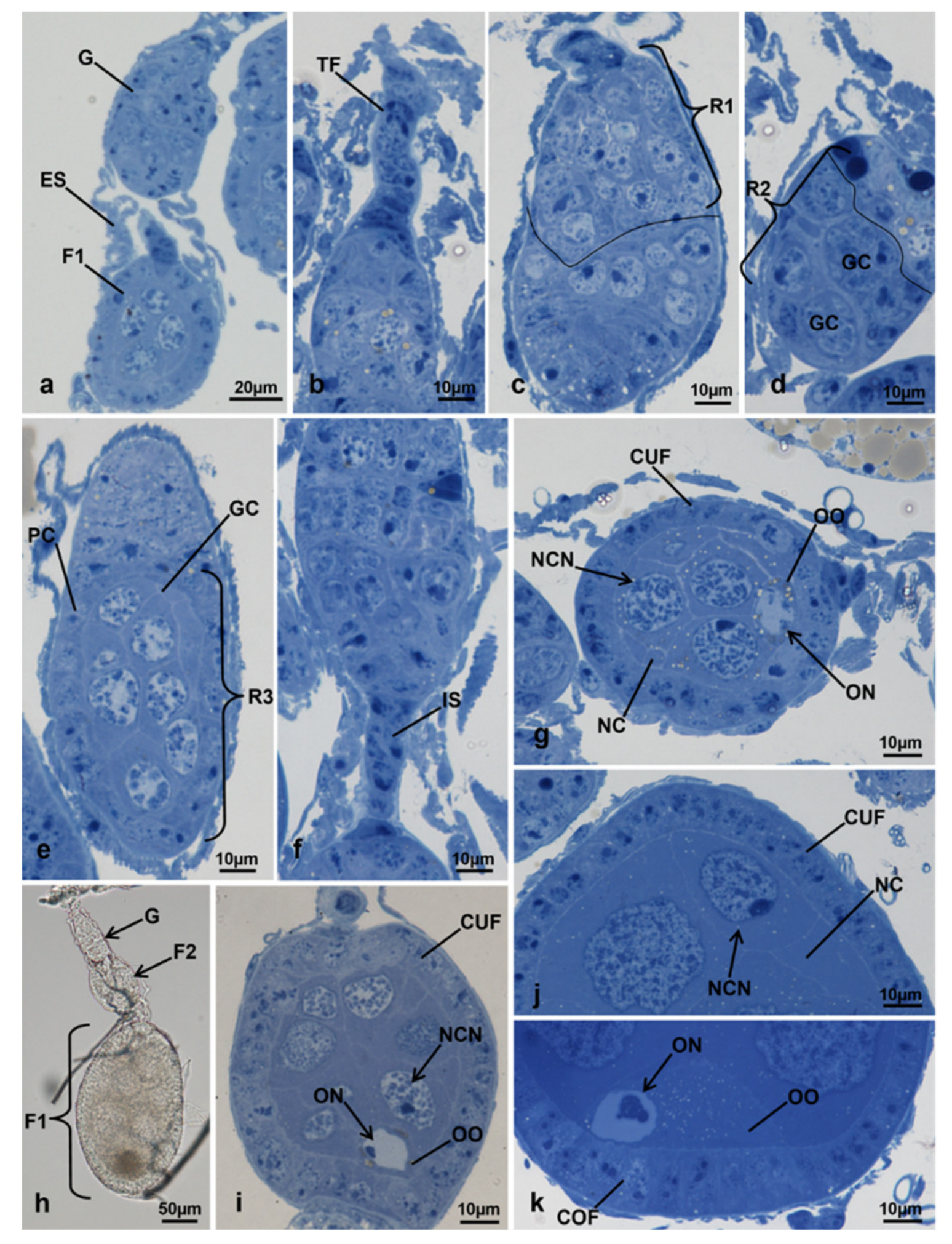 Sustainability 13 10122 g003 Sustainability 13 10122 g003