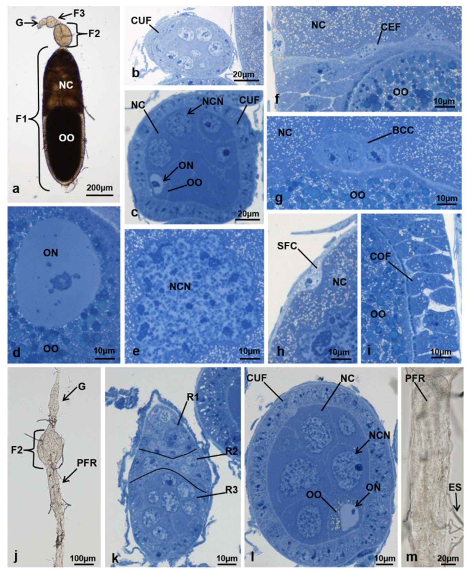 Sustainability 13 10122 g004 Sustainability 13 10122 g004