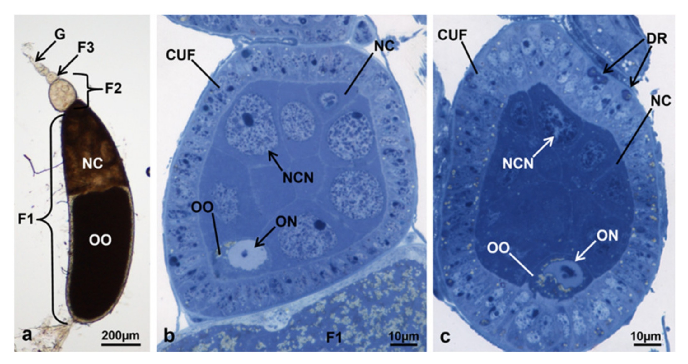 Sustainability 13 10122 g005 Sustainability 13 10122 g005