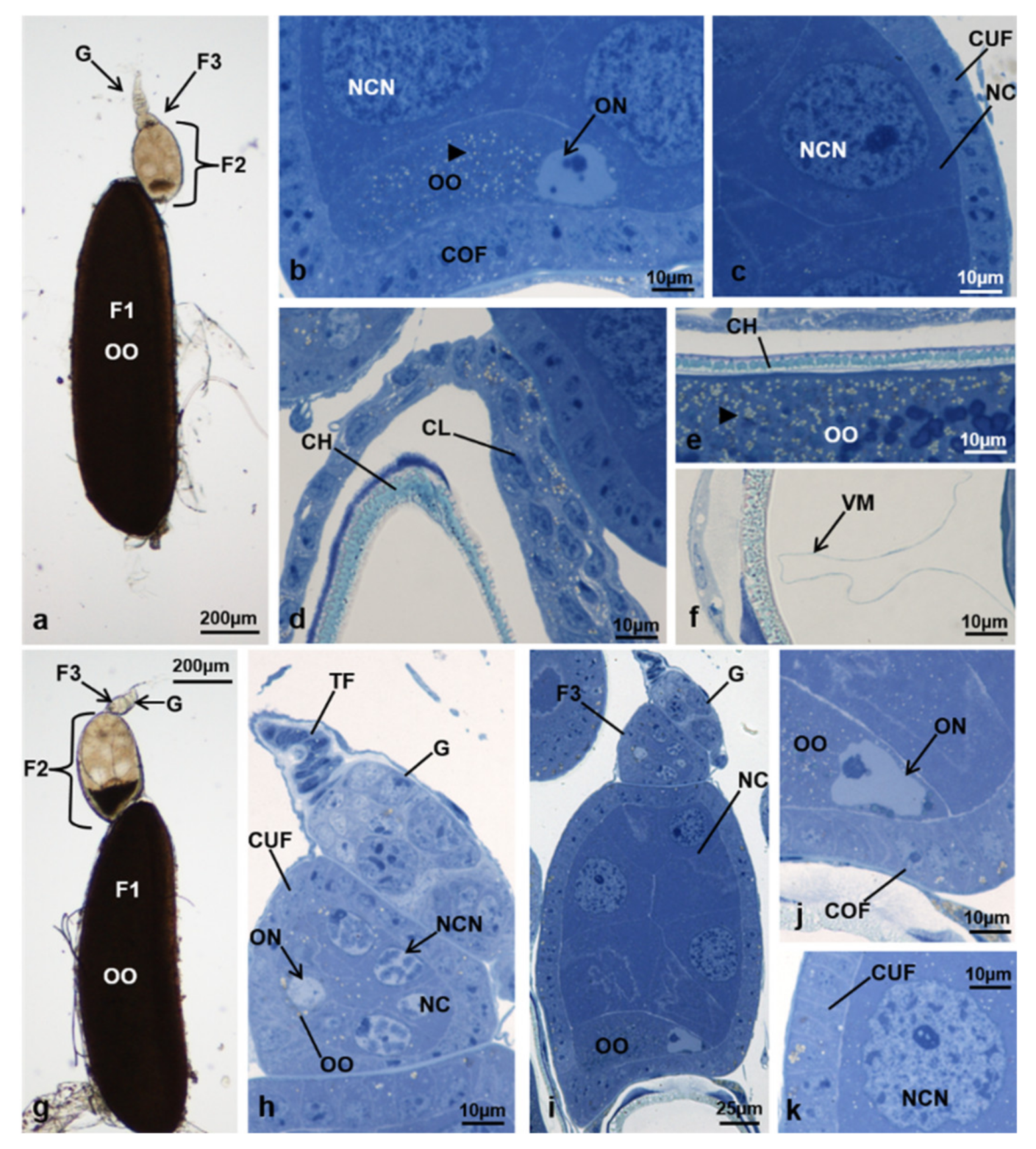 Sustainability 13 10122 g006 Sustainability 13 10122 g006