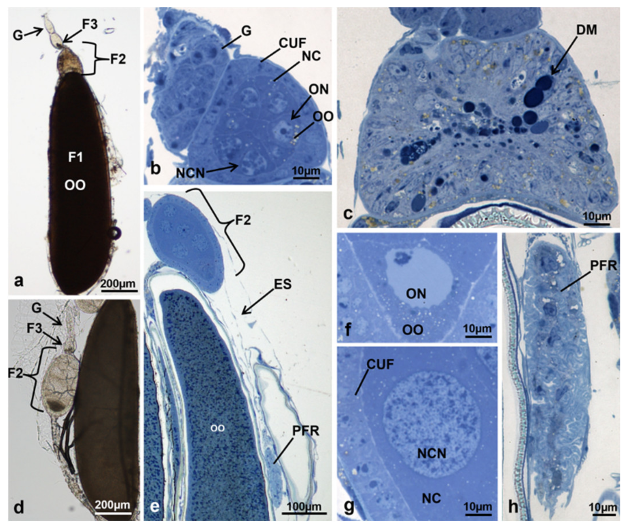 Sustainability 13 10122 g007 Sustainability 13 10122 g007