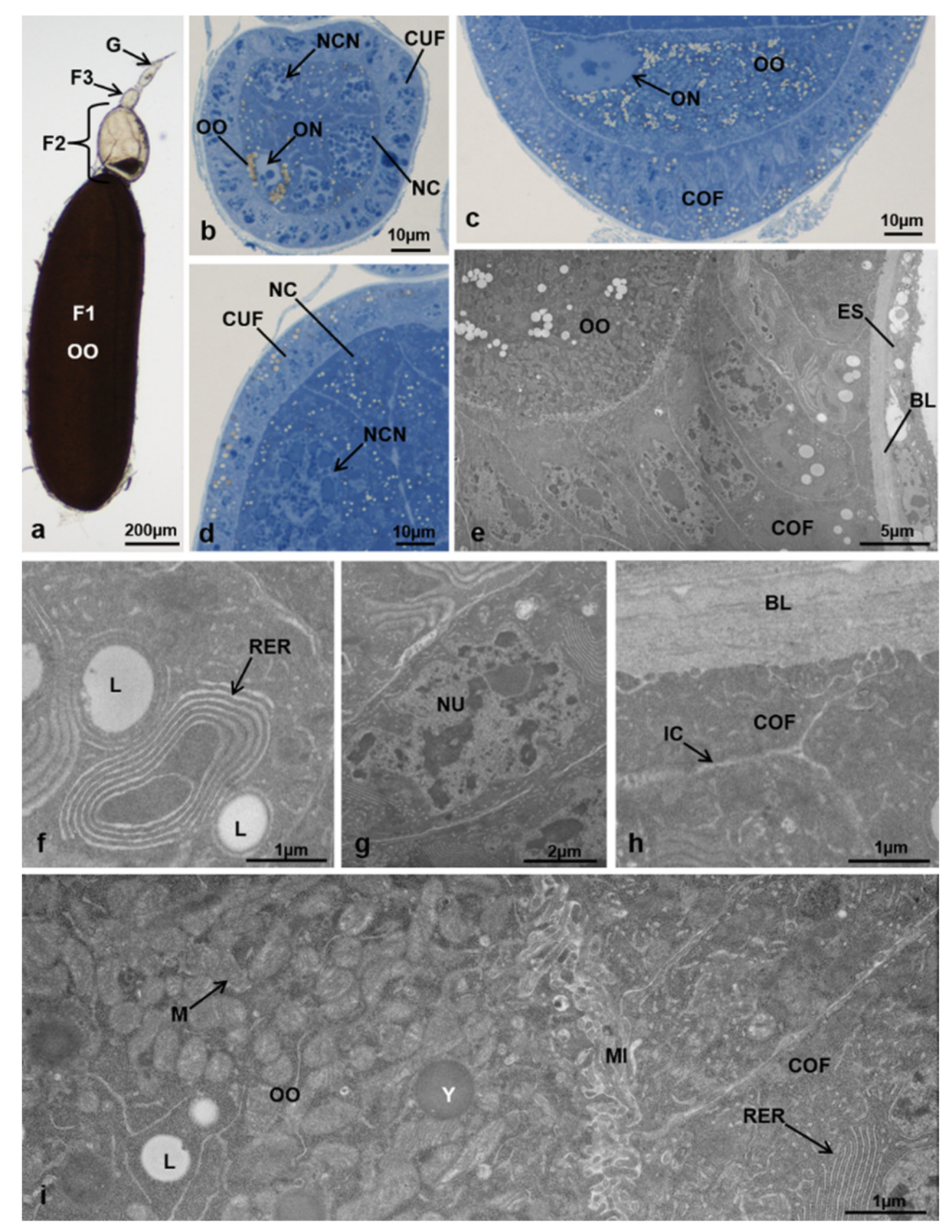 Sustainability 13 10122 g008 Sustainability 13 10122 g008