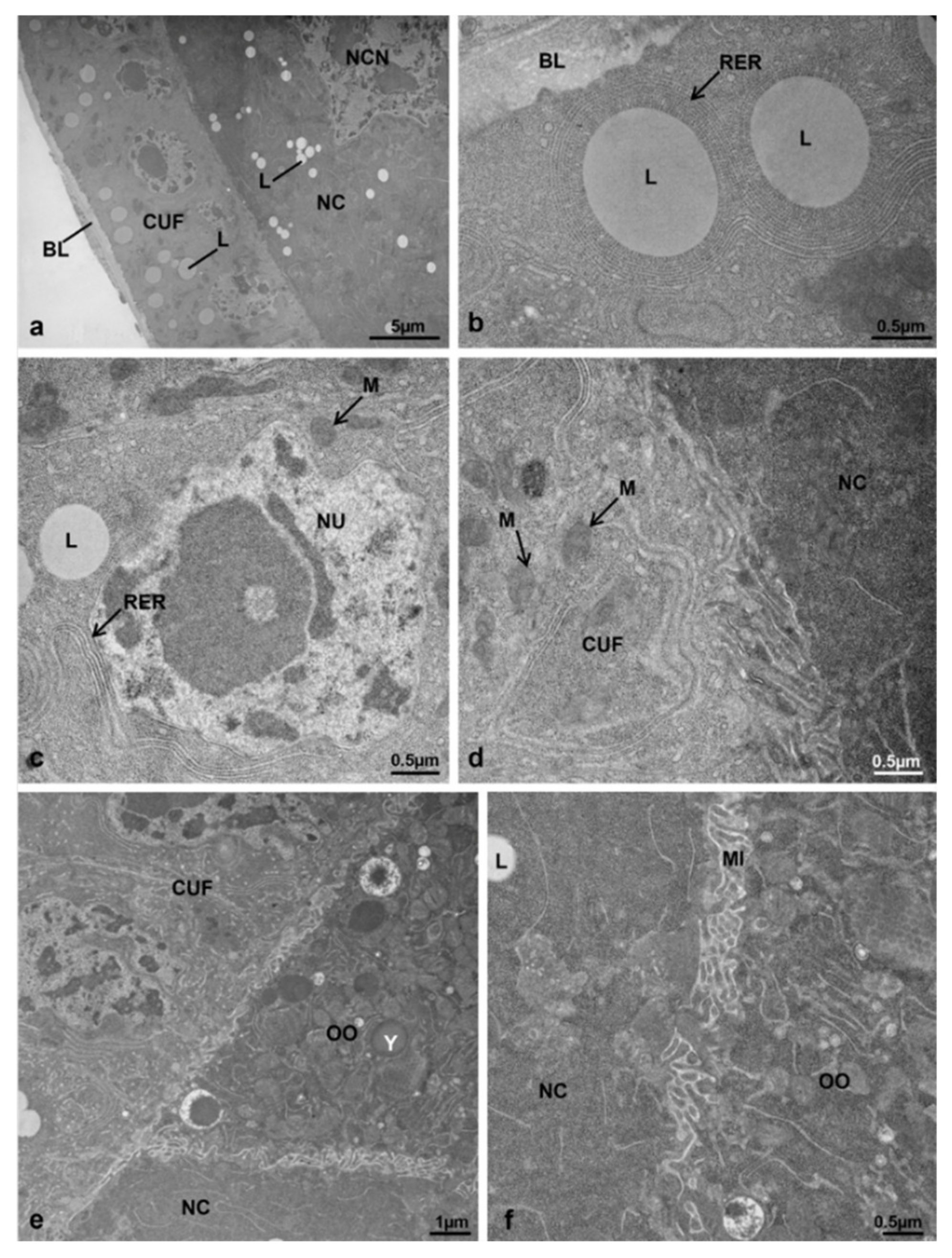 Sustainability 13 10122 g009 Sustainability 13 10122 g009