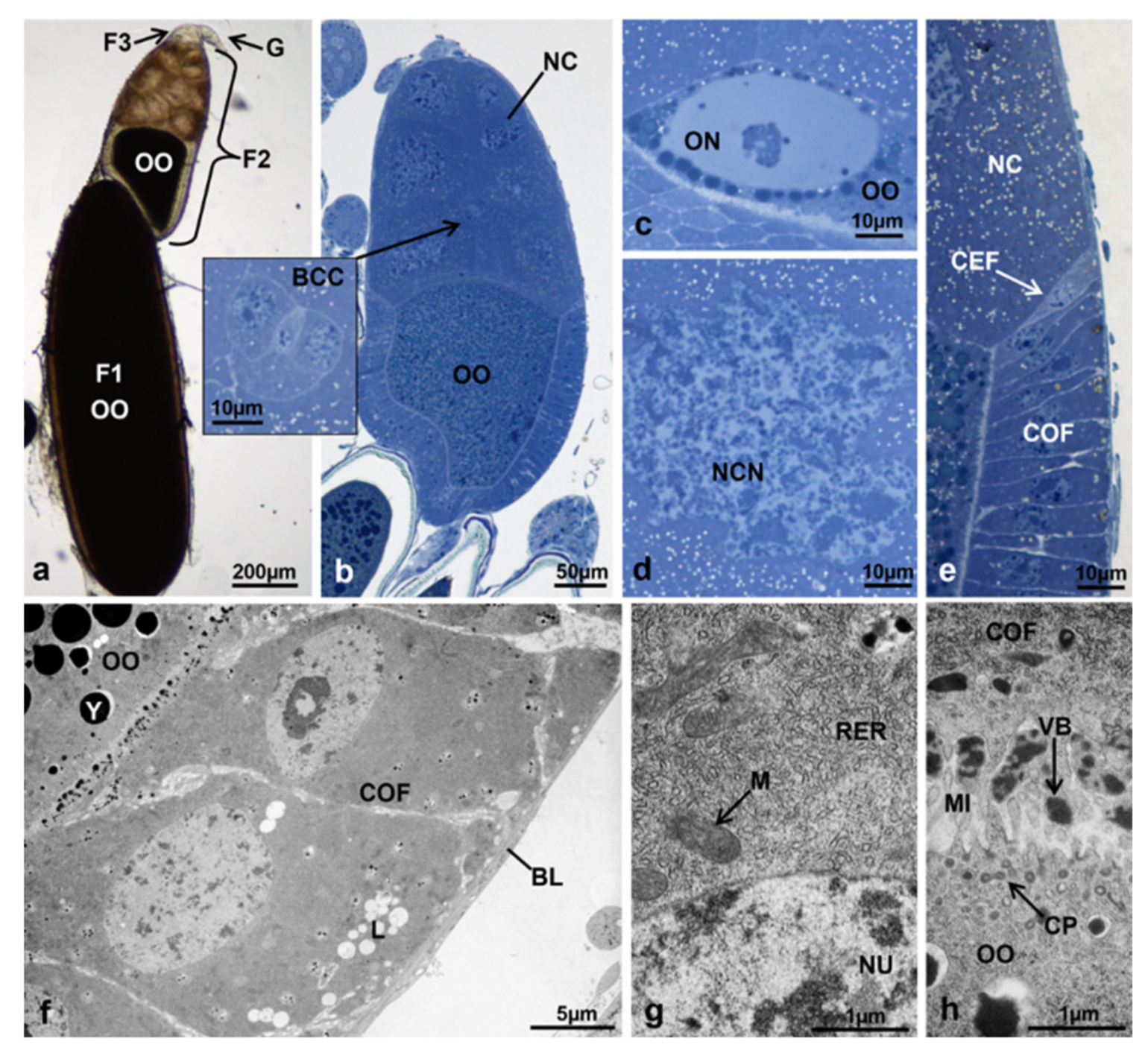Sustainability 13 10122 g010 Sustainability 13 10122 g010