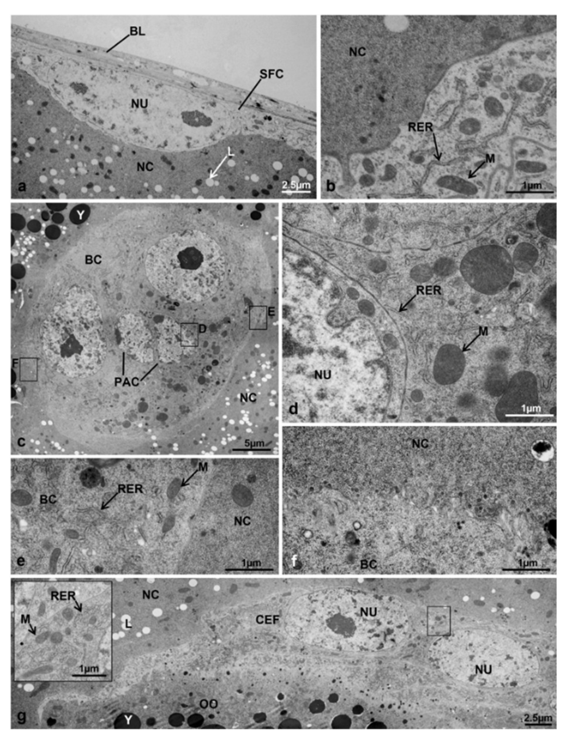 Sustainability 13 10122 g011 Sustainability 13 10122 g011