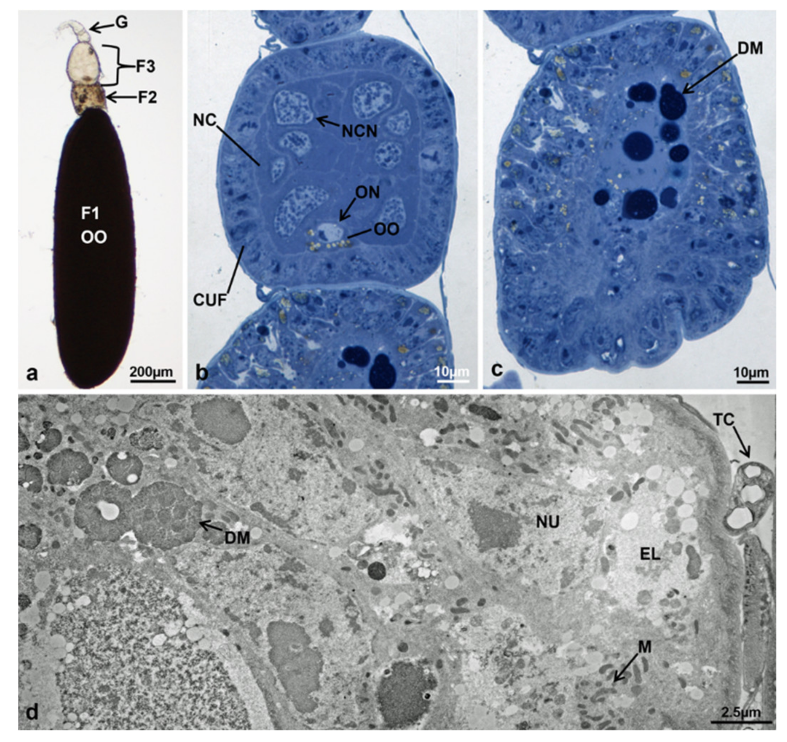 Sustainability 13 10122 g012 Sustainability 13 10122 g012