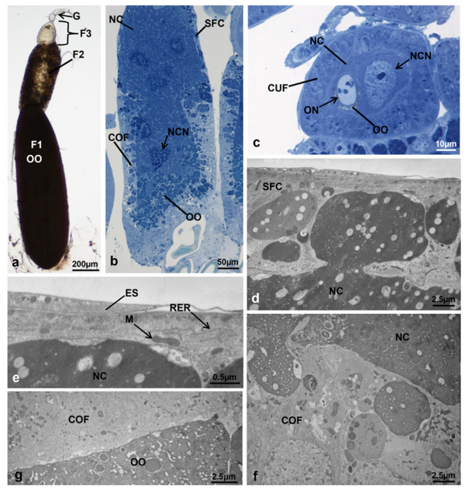 Sustainability 13 10122 g013 Sustainability 13 10122 g013