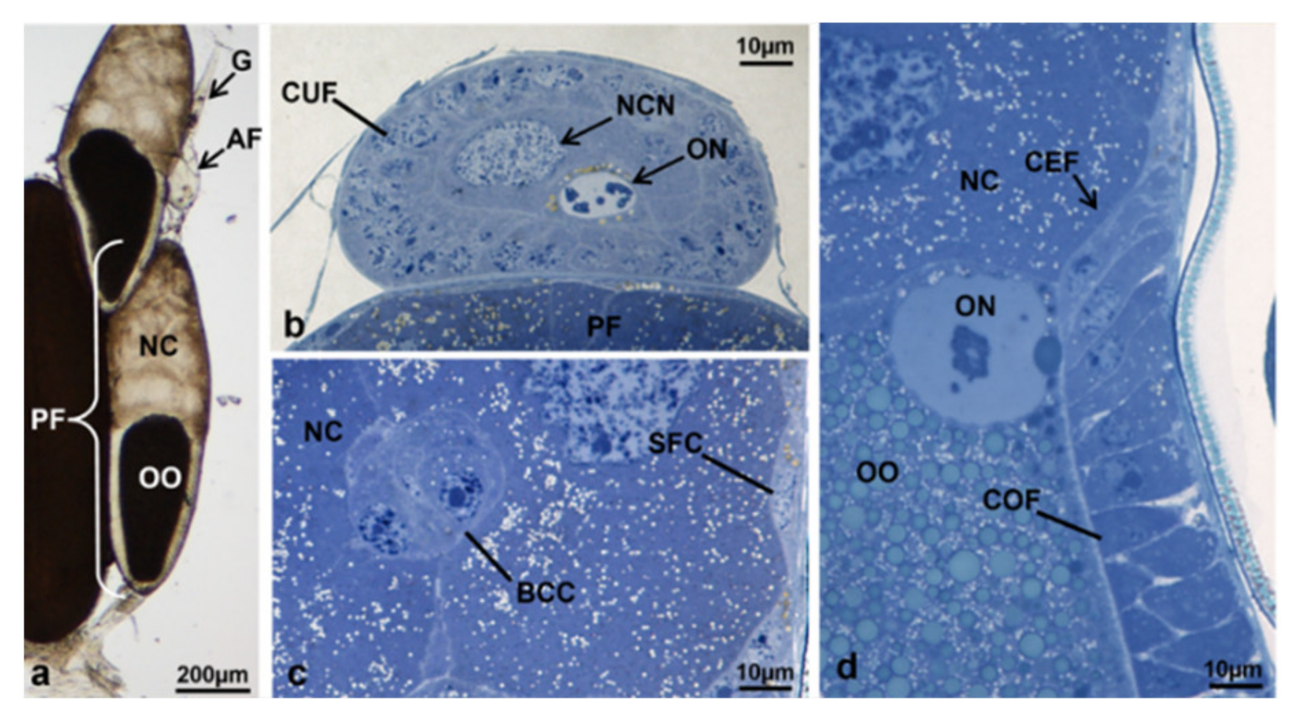 Sustainability 13 10122 g014 Sustainability 13 10122 g014