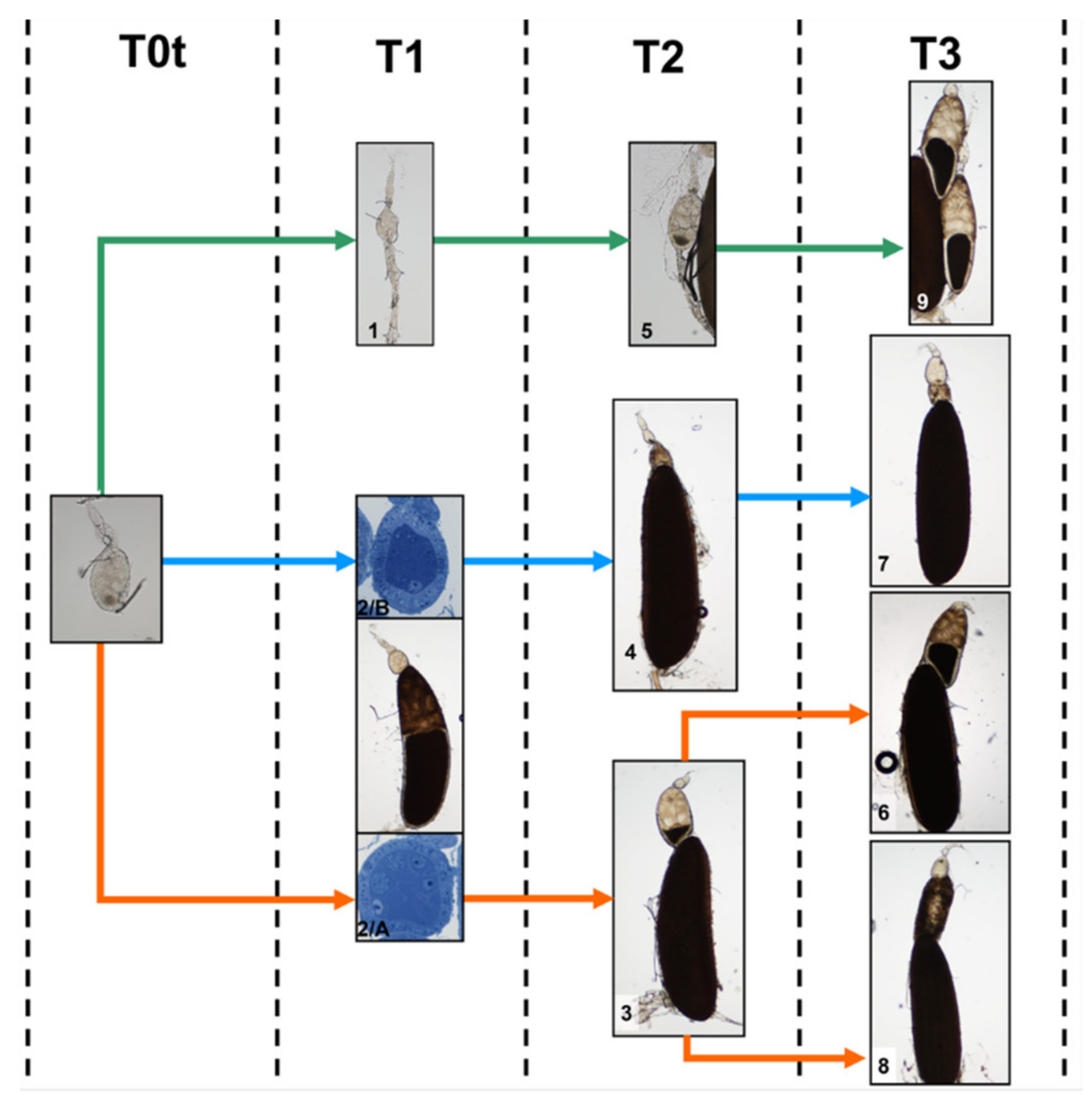 Sustainability 13 10122 g015 Sustainability 13 10122 g015