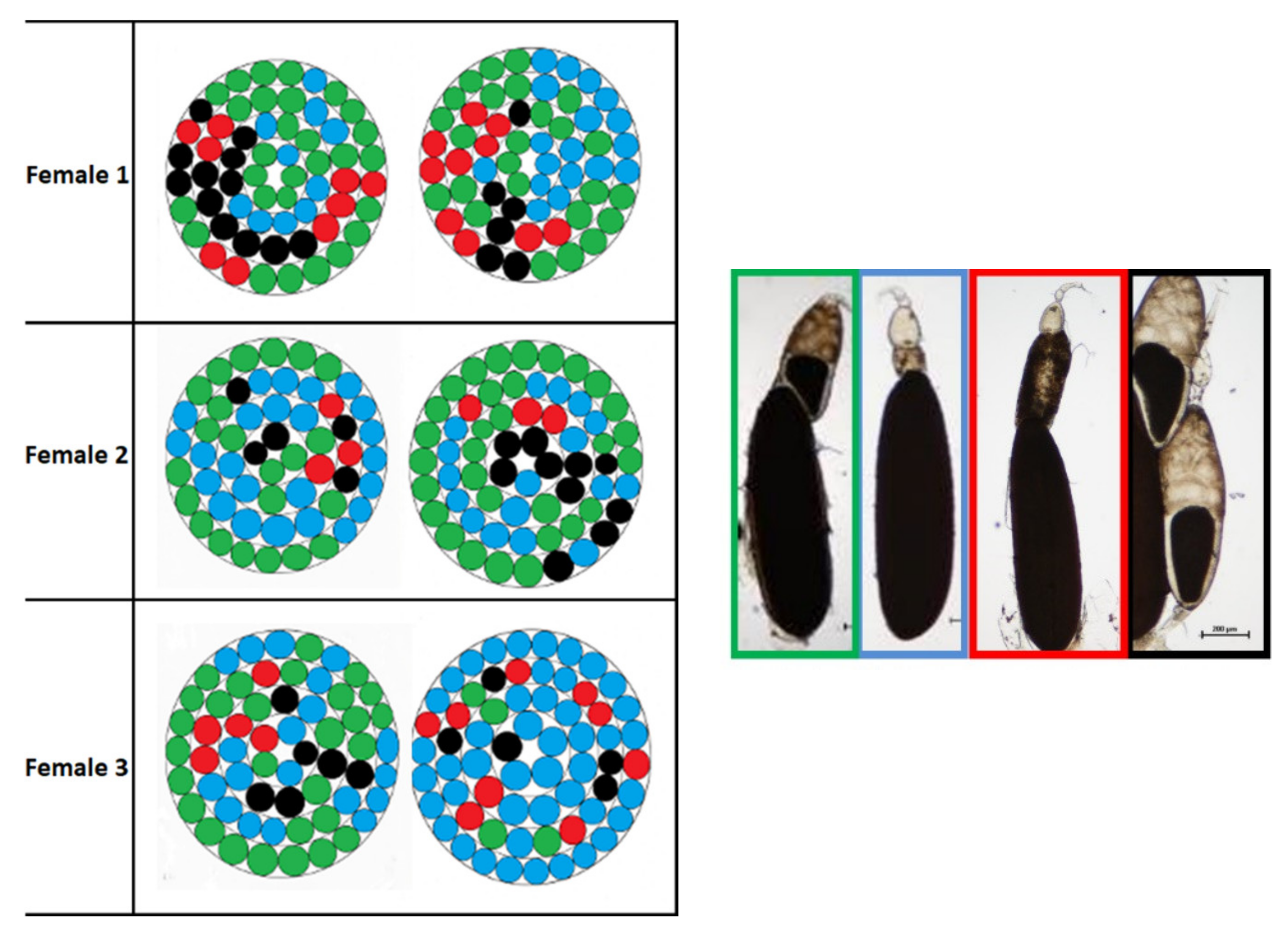 Sustainability 13 10122 g016 Sustainability 13 10122 g016