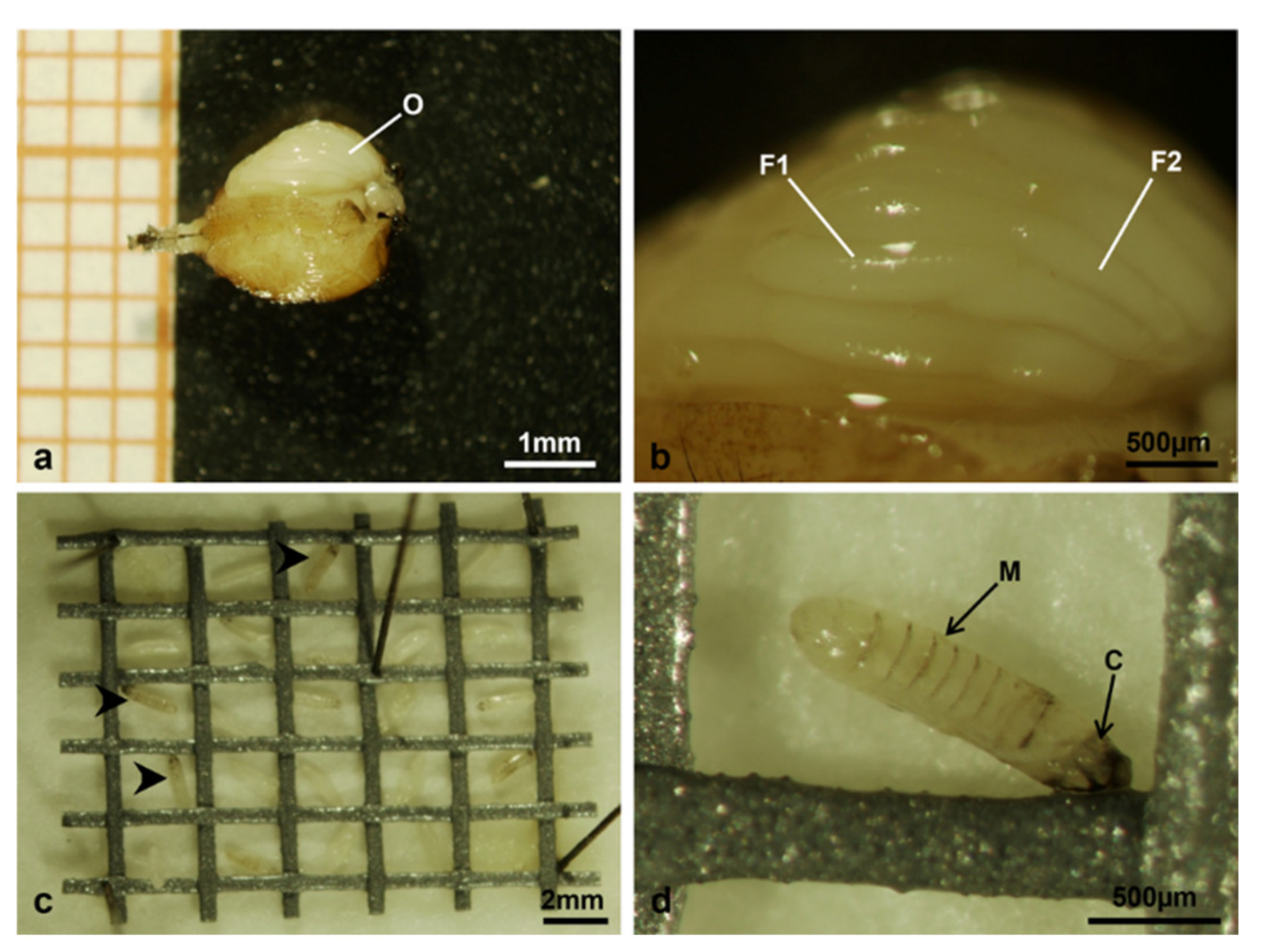 Sustainability 13 10122 g017 Sustainability 13 10122 g017