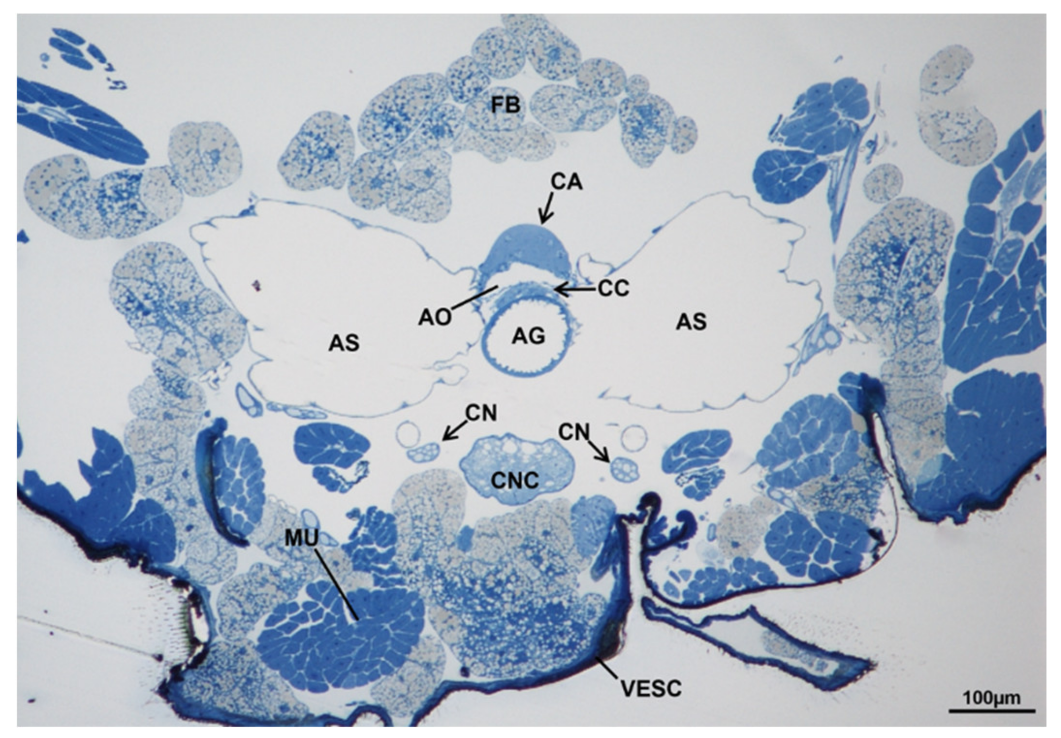 Sustainability 13 10122 g018 Sustainability 13 10122 g018