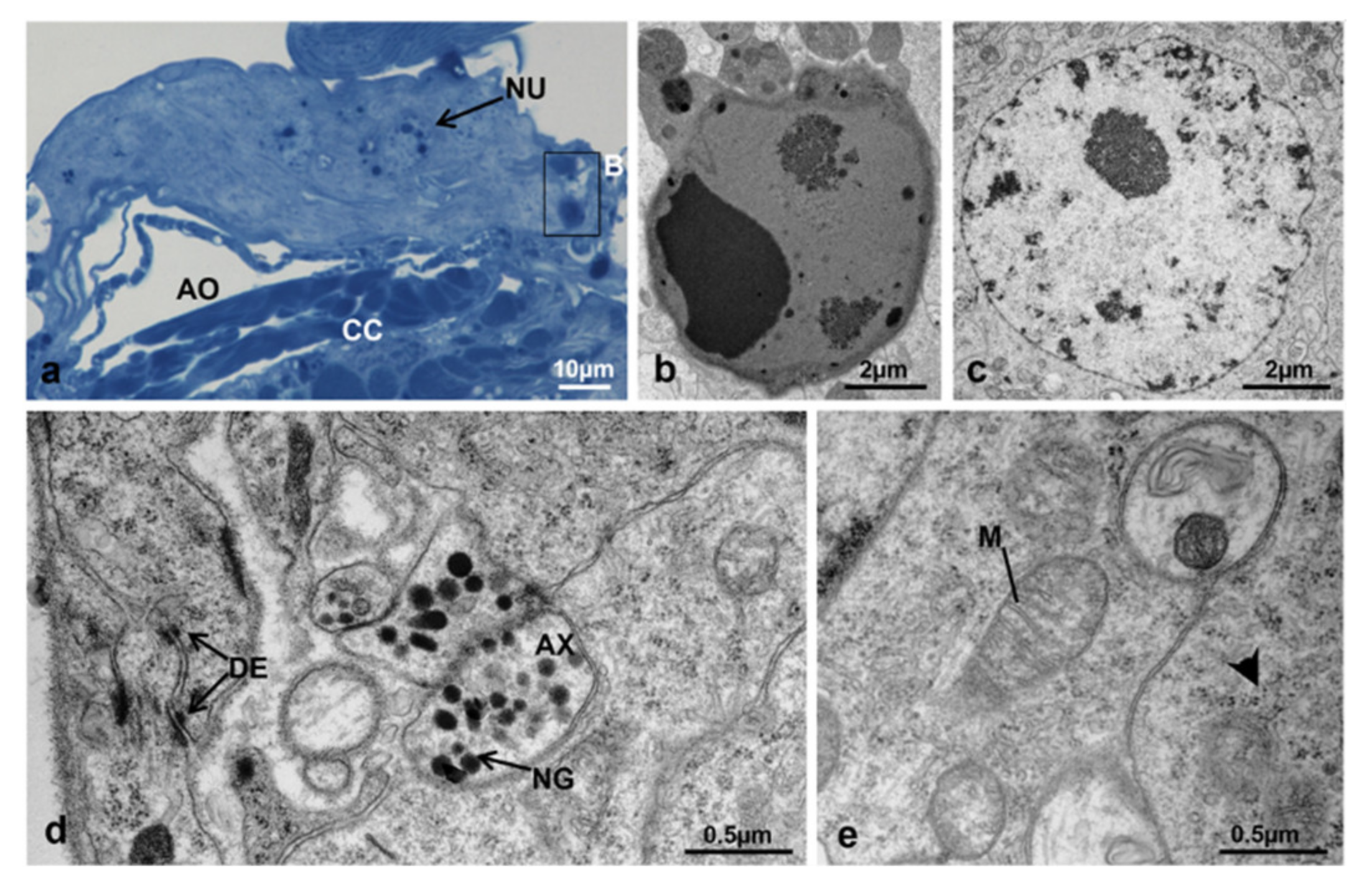 Sustainability 13 10122 g019 Sustainability 13 10122 g019