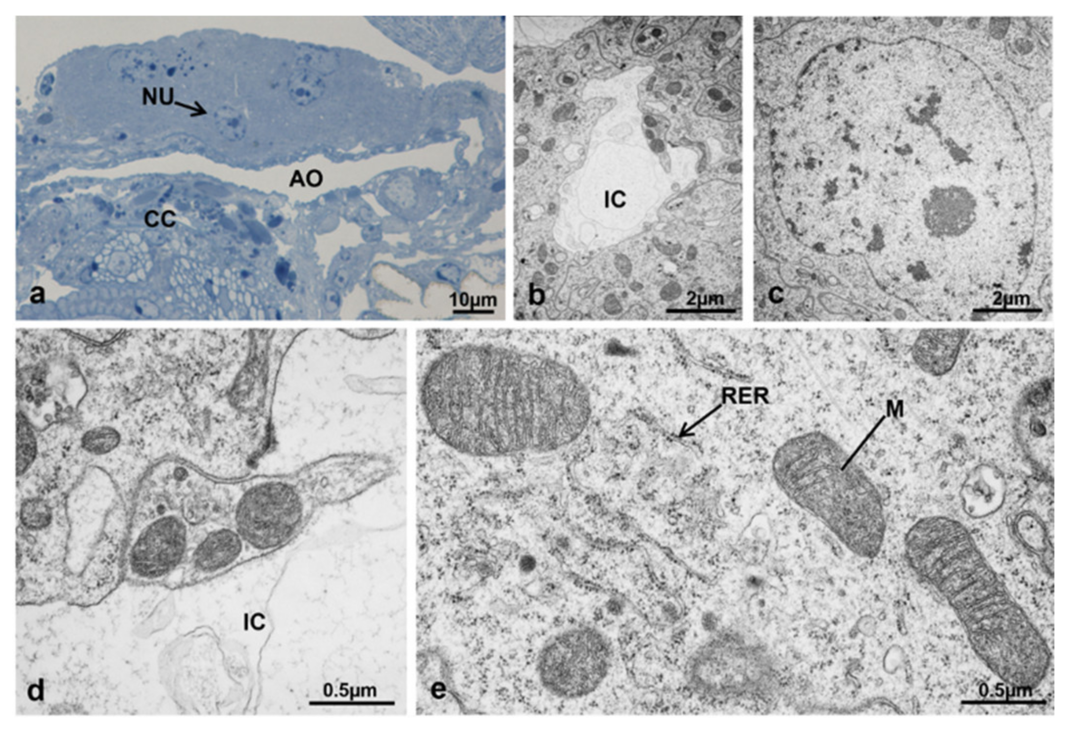 Sustainability 13 10122 g020 Sustainability 13 10122 g020