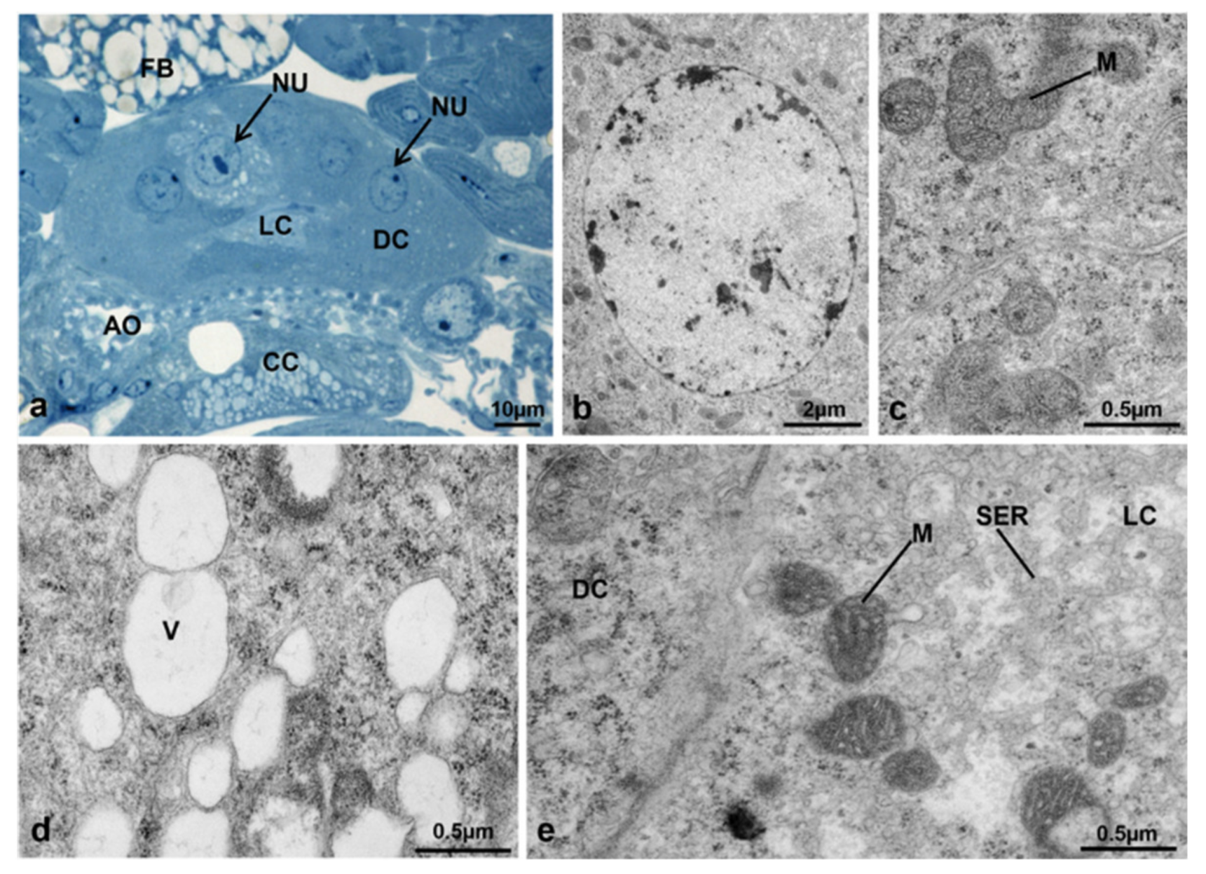 Sustainability 13 10122 g021 Sustainability 13 10122 g021