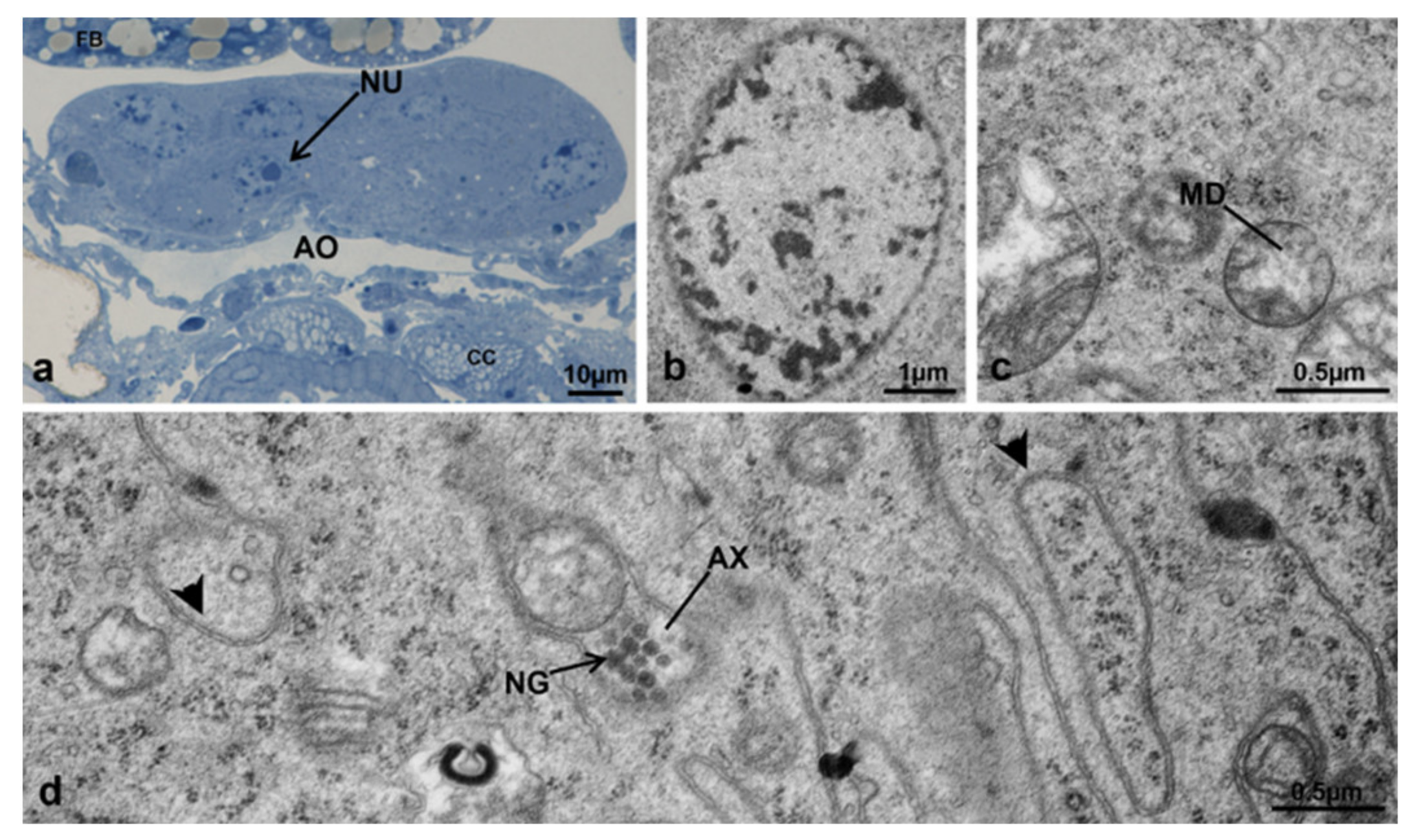 Sustainability 13 10122 g022 Sustainability 13 10122 g022