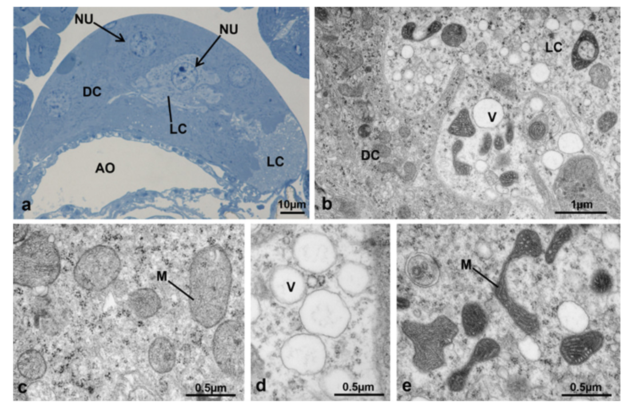 Sustainability 13 10122 g023 Sustainability 13 10122 g023