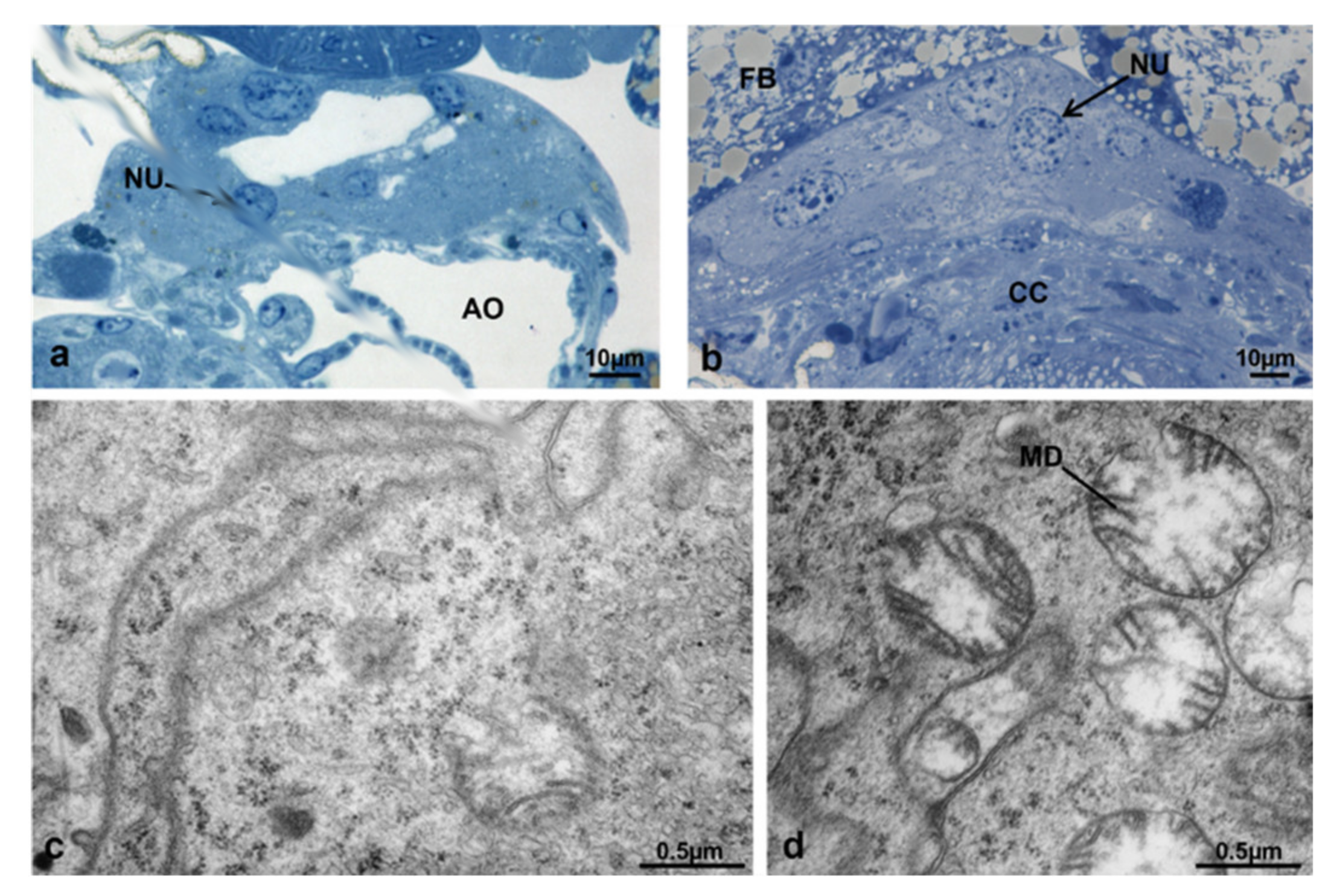 Sustainability 13 10122 g024 Sustainability 13 10122 g024