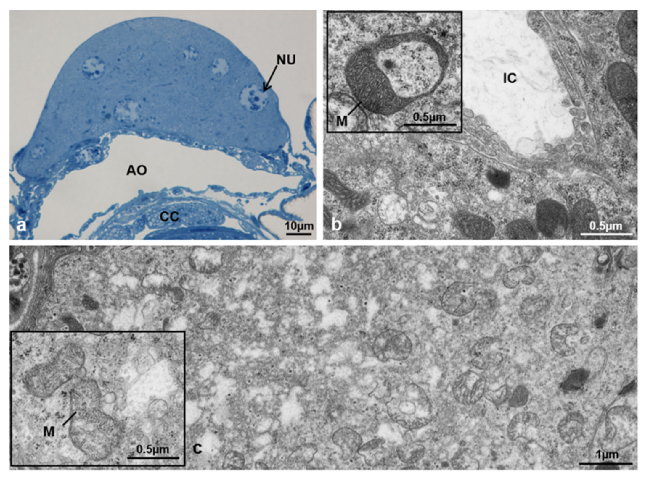 Sustainability 13 10122 g025 Sustainability 13 10122 g025