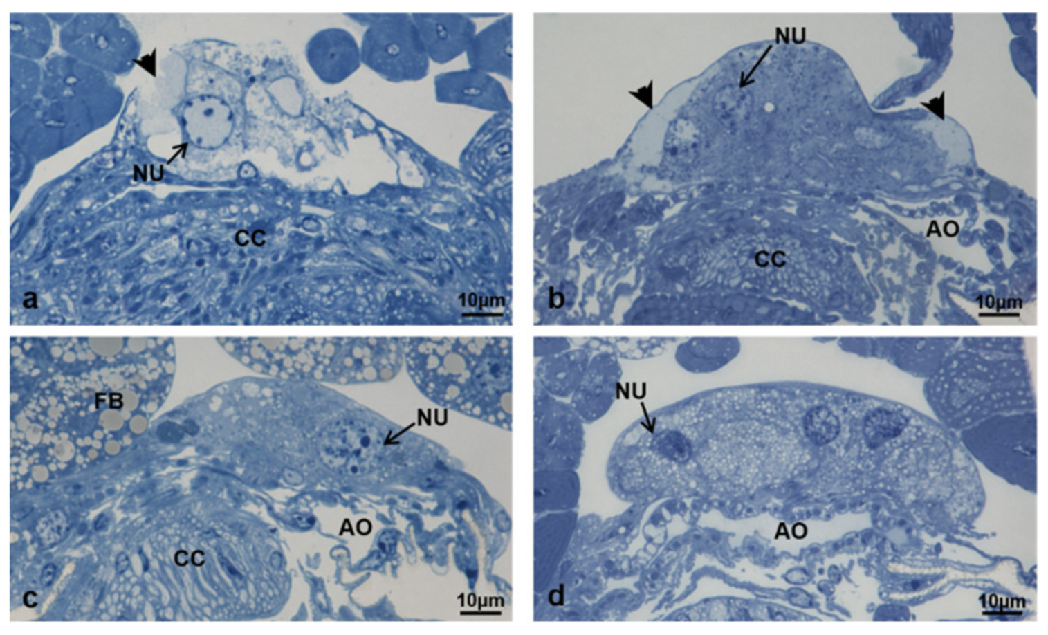 Sustainability 13 10122 g026 Sustainability 13 10122 g026