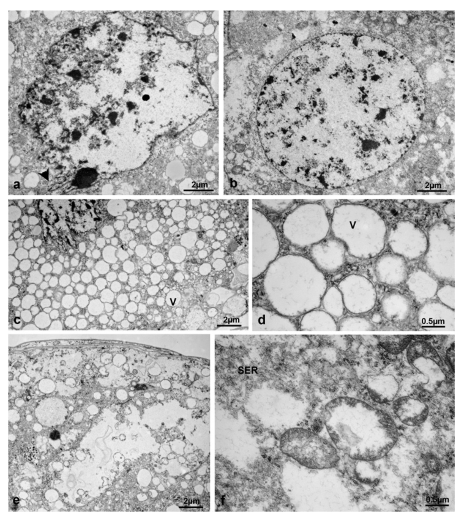 Sustainability 13 10122 g027 Sustainability 13 10122 g027
