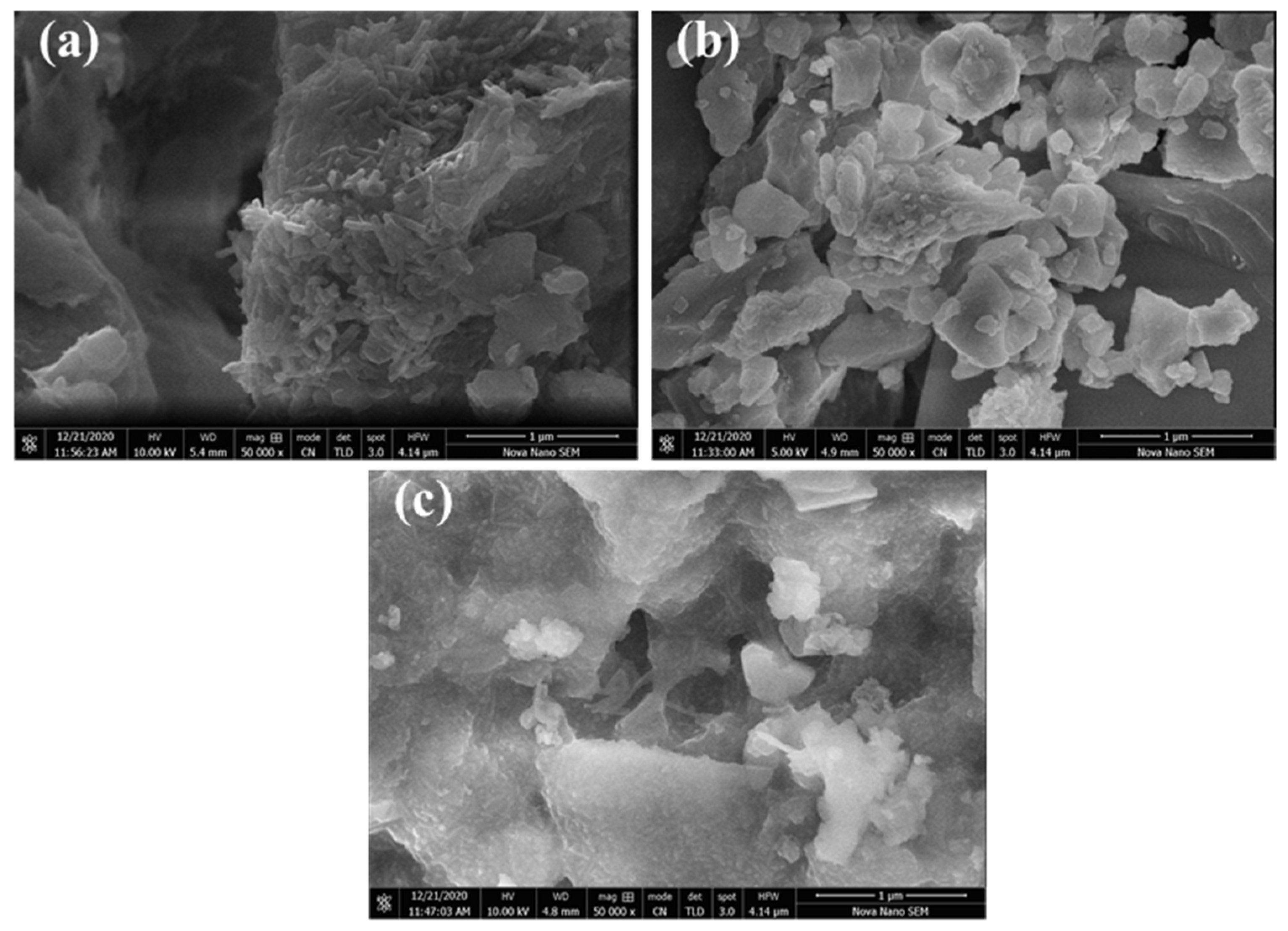 Sustainability 13 10214 g001